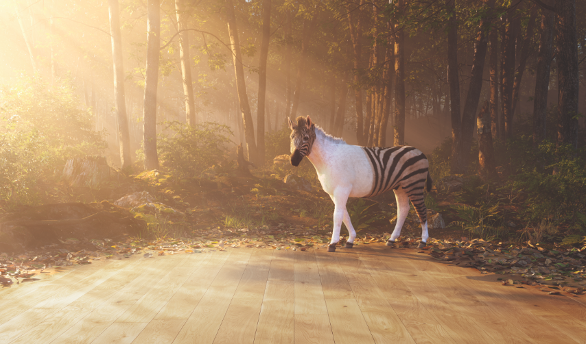 HYWOOD_ter_huerne_holz_disselnmeyer HYWOOD_ter_huerne_holz_disselnmeyer