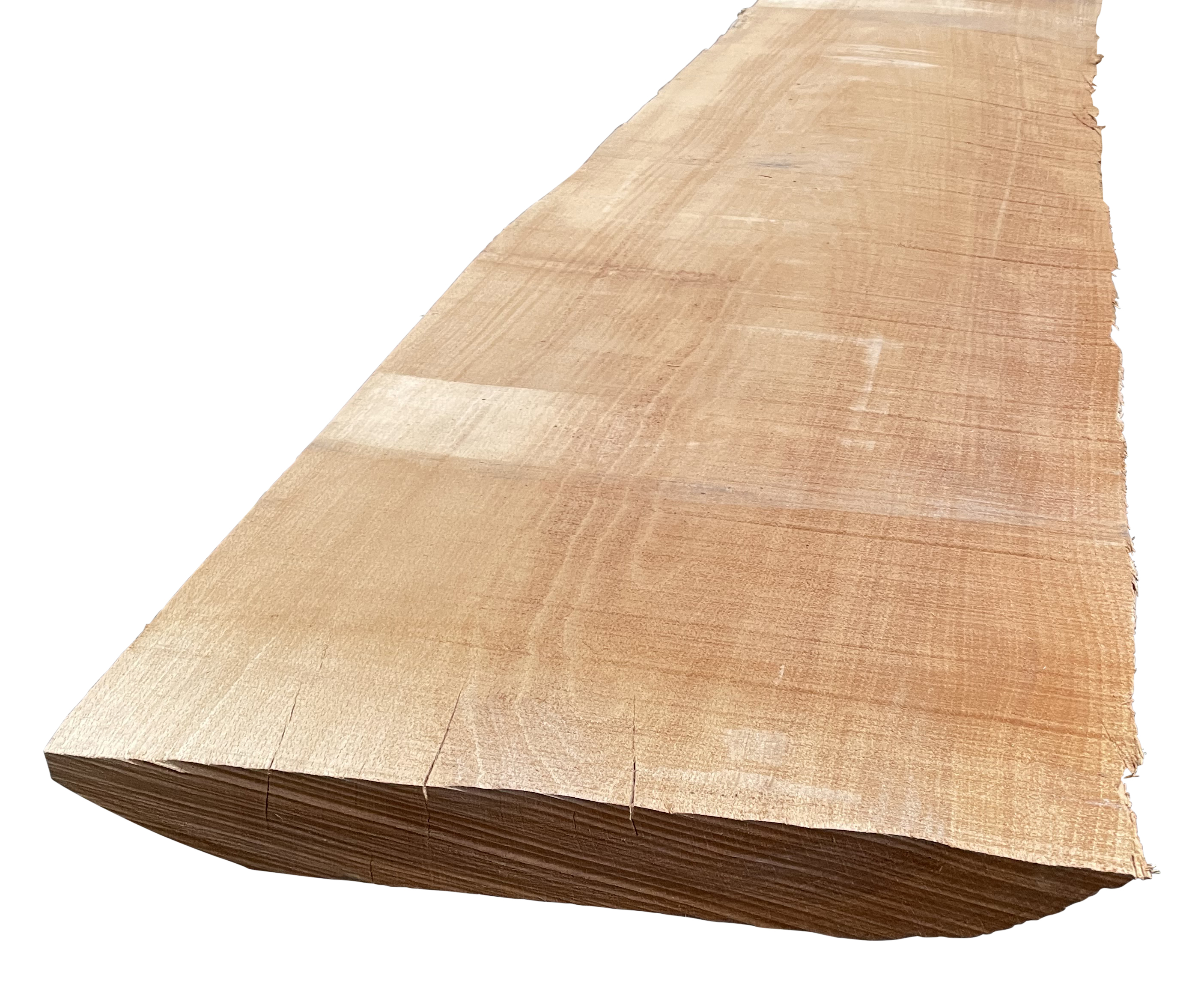 26 mm Buche, gedämpft KD_0 26 mm Buche, gedämpft KD_0