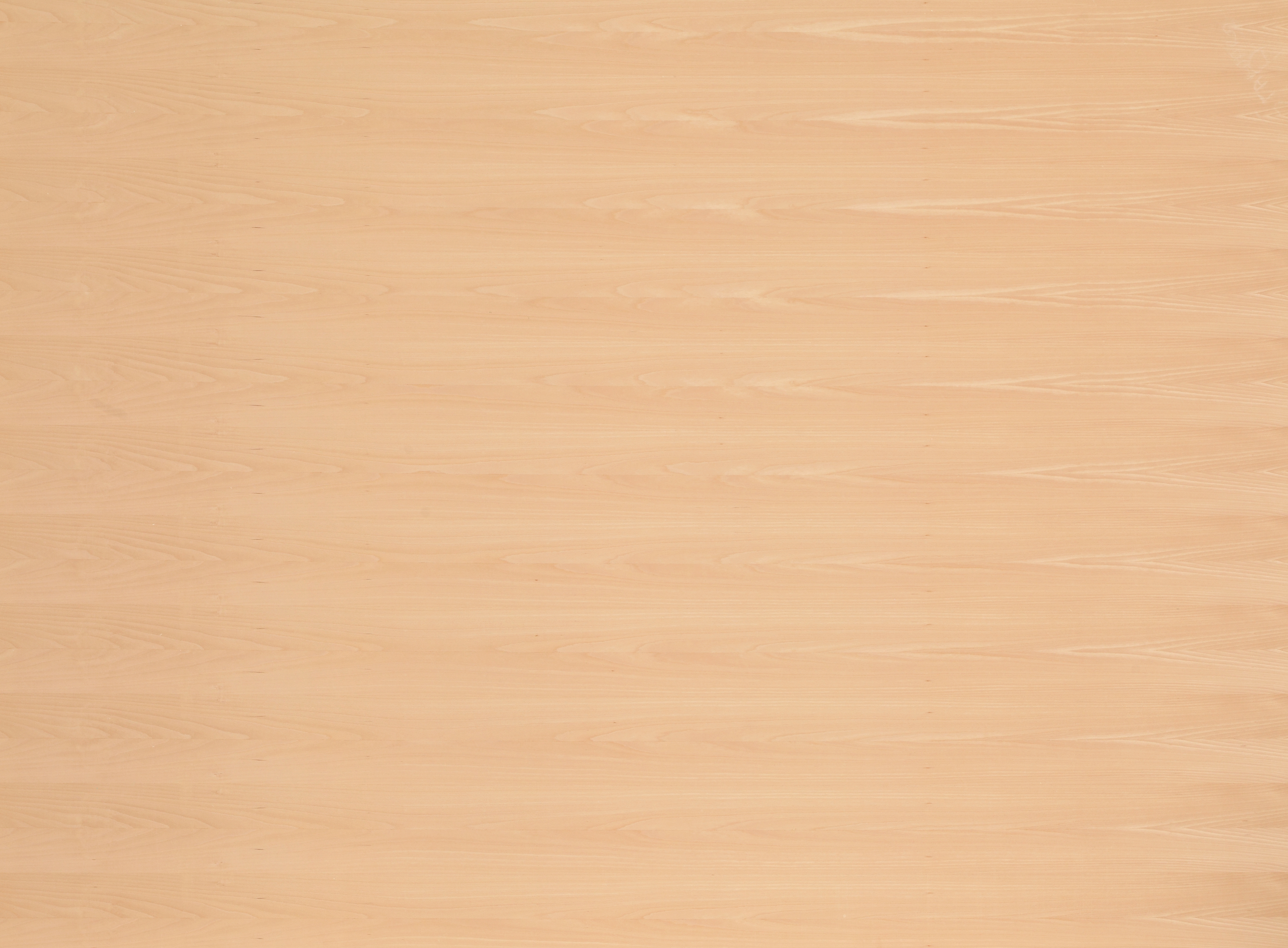 29 mm Buche furnierte Spanplatte - E1 P2 CE_0 29 mm Buche furnierte Spanplatte - E1 P2 CE_0