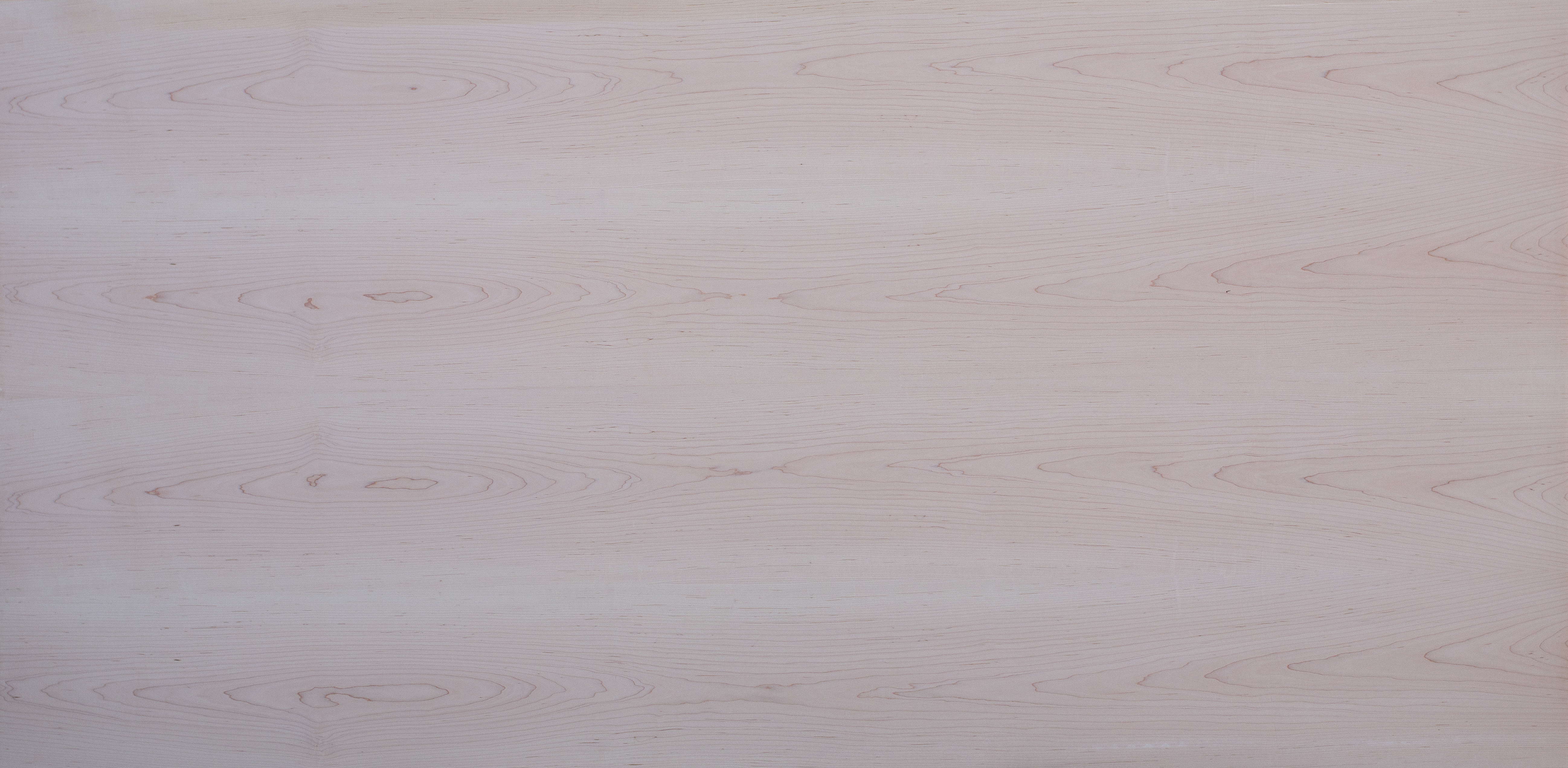 16 mm amerik. Ahorn furnierte Spanplatte -  E1 P2 CE_0 16 mm amerik. Ahorn furnierte Spanplatte -  E1 P2 CE_0