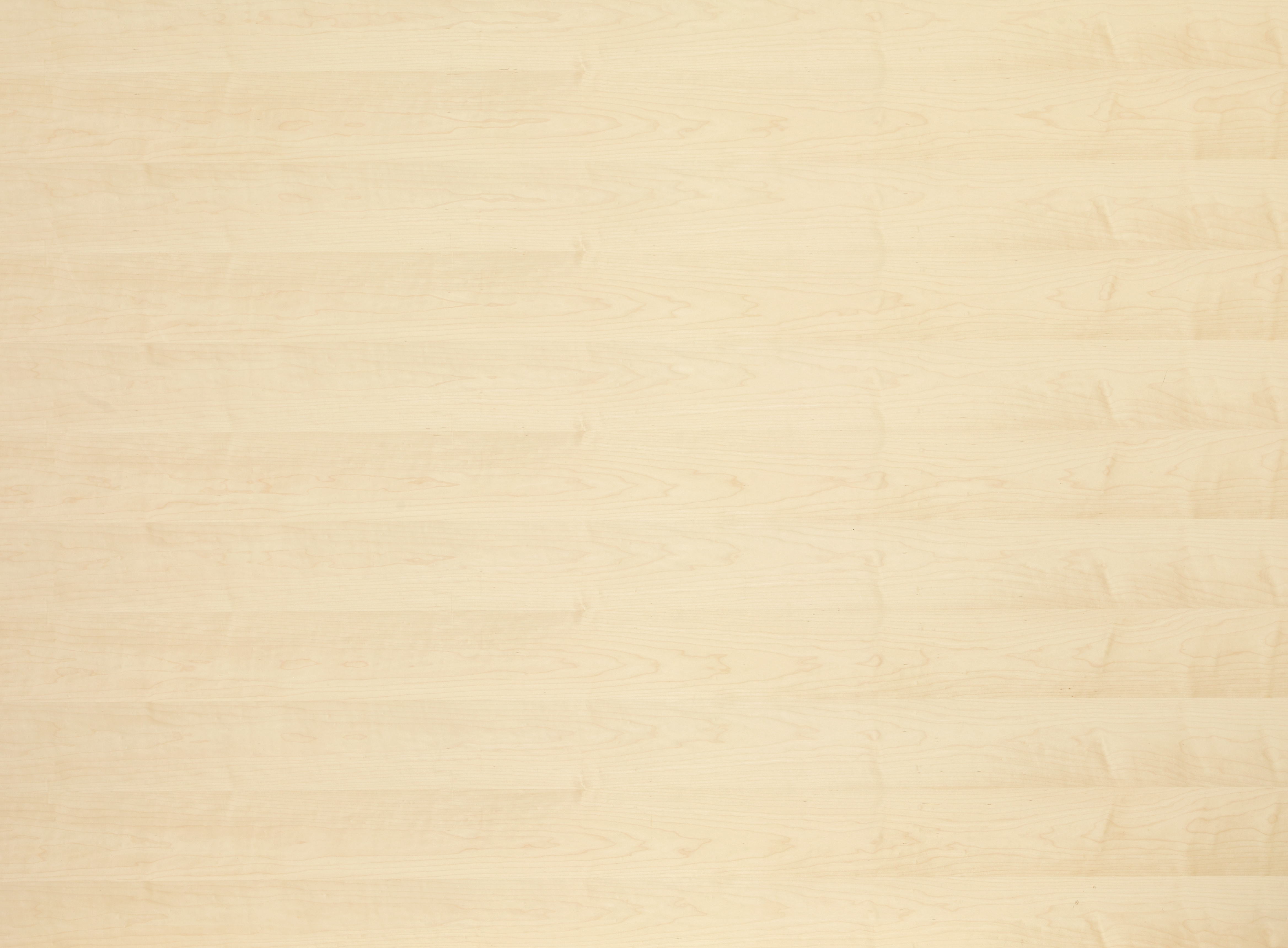 16 mm europ. Ahorn furnierte Spanplatte -  E1 P2 CE_0 16 mm europ. Ahorn furnierte Spanplatte -  E1 P2 CE_0