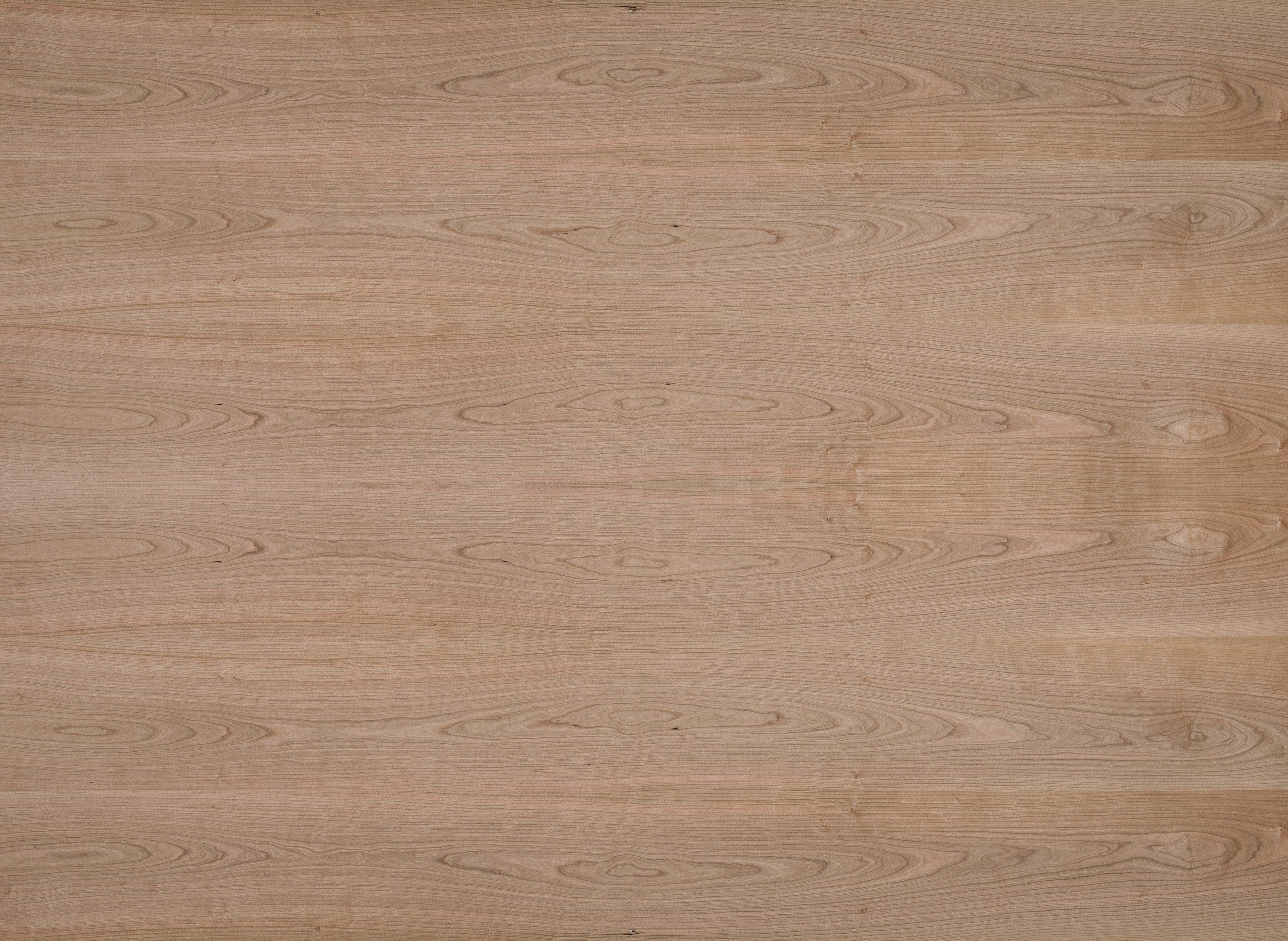 19 mm amerik. Kirschbaum furnierte Spanplatte - E1 P2 CE_0 19 mm amerik. Kirschbaum furnierte Spanplatte - E1 P2 CE_0