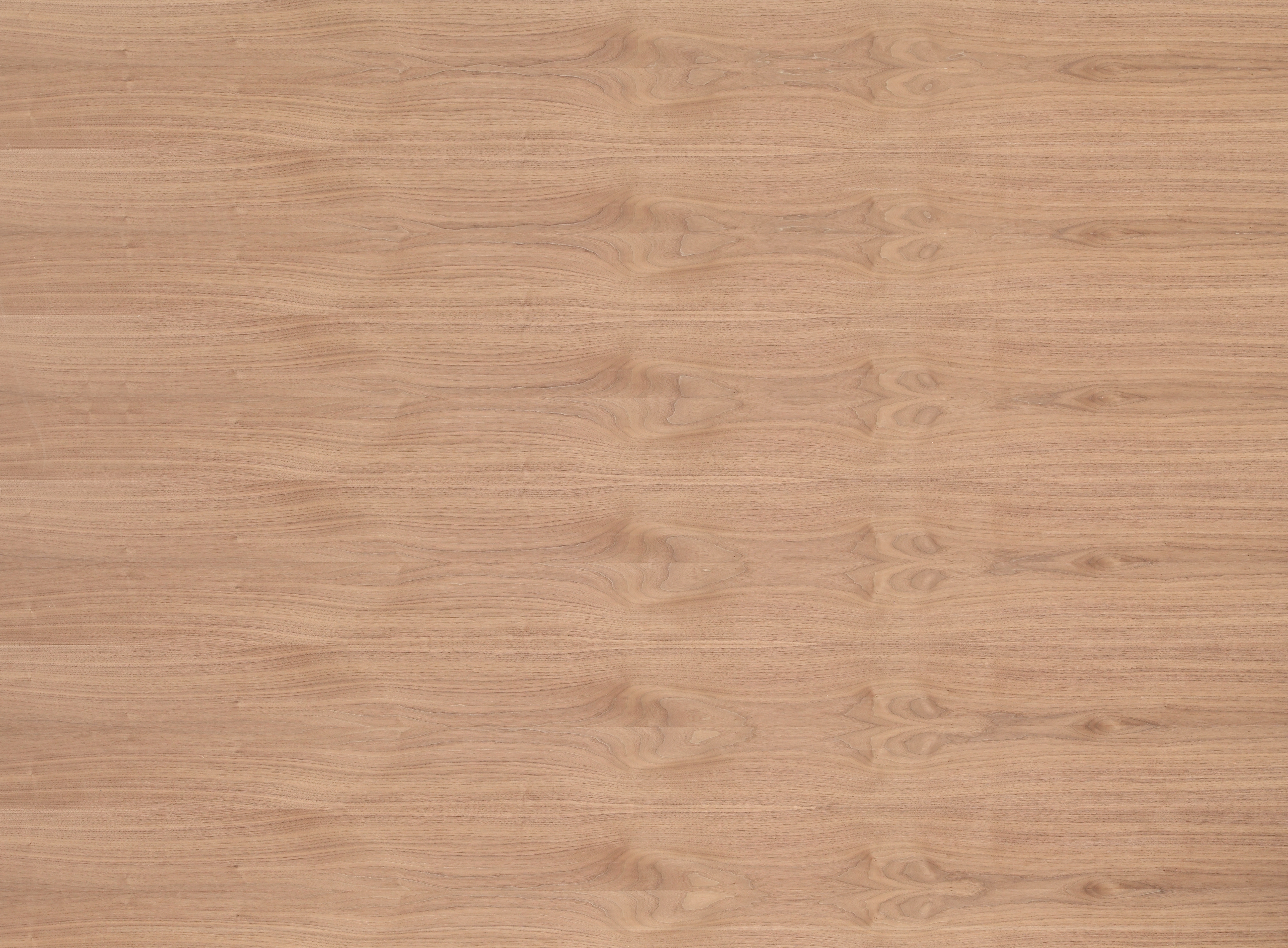 19 mm amerik. Nussbaum furnierte Spanplatte - E1 P2 CE_0 19 mm amerik. Nussbaum furnierte Spanplatte - E1 P2 CE_0