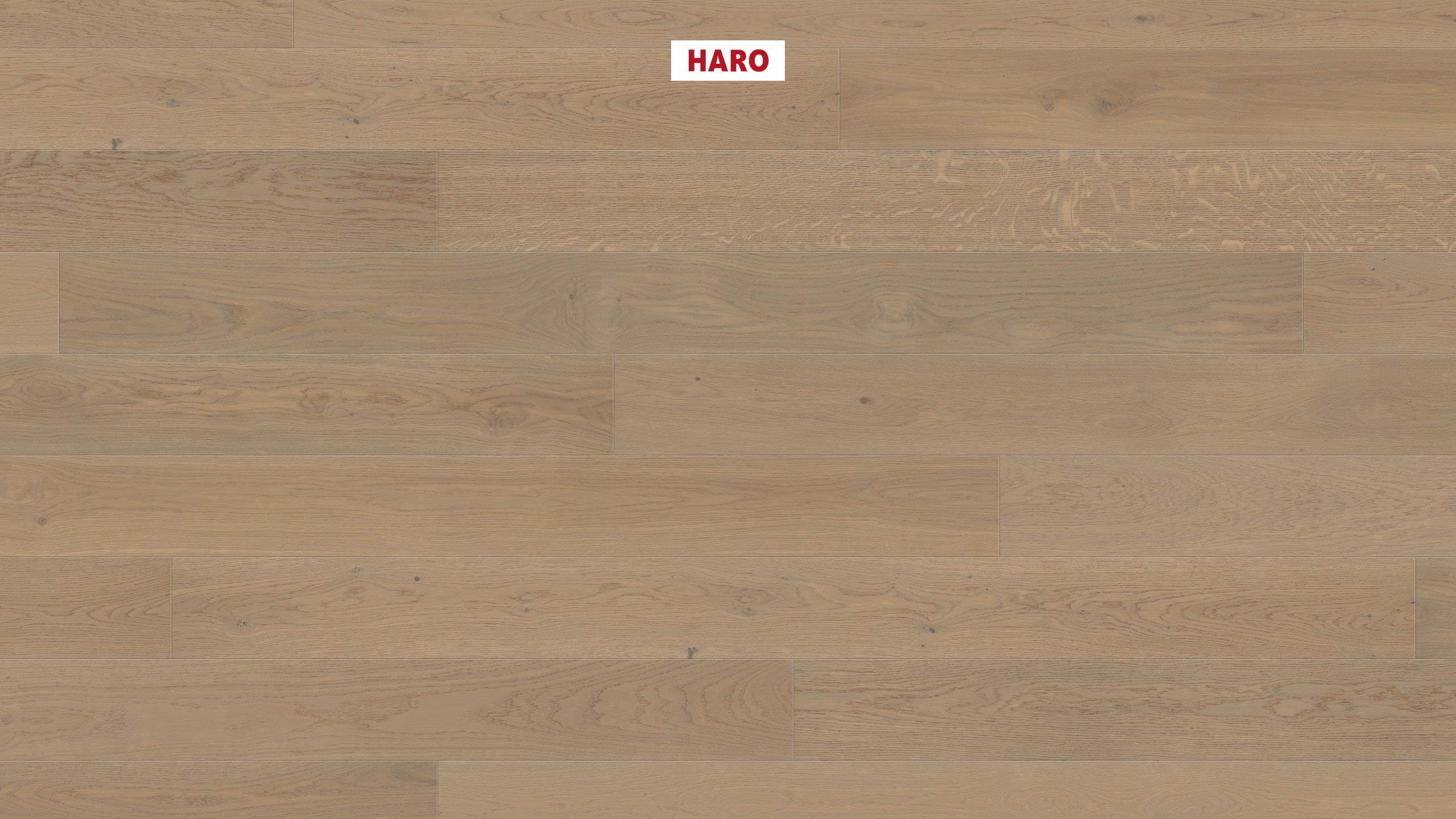 13,5 mm HARO Parkett Serie 4000 - Eiche sandgrau Markant, strukturiert 4V_0