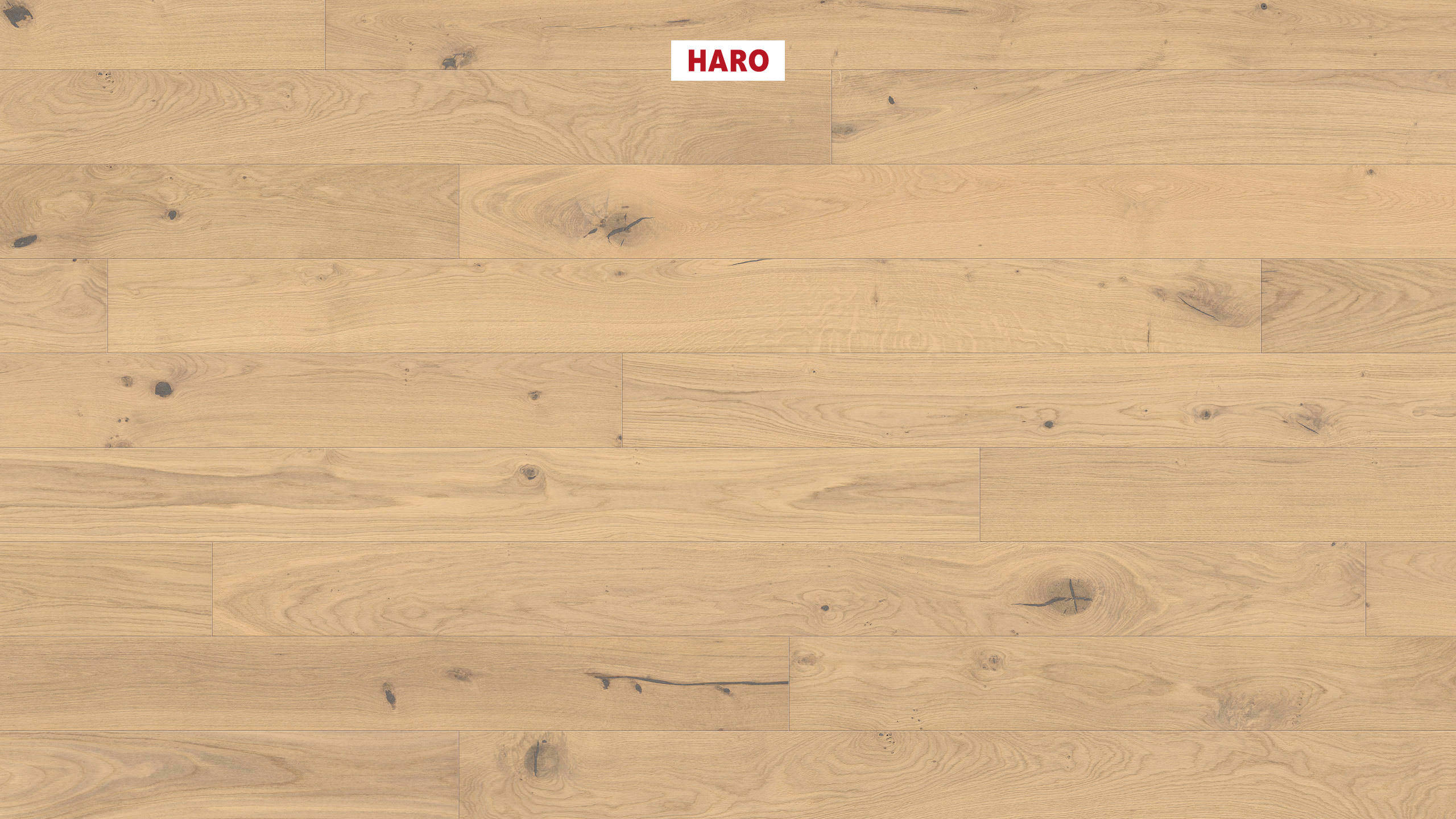 11 mm HARO Parkett Serie 4000 - Eiche invisible Sauvage, strukturiert 4V_0