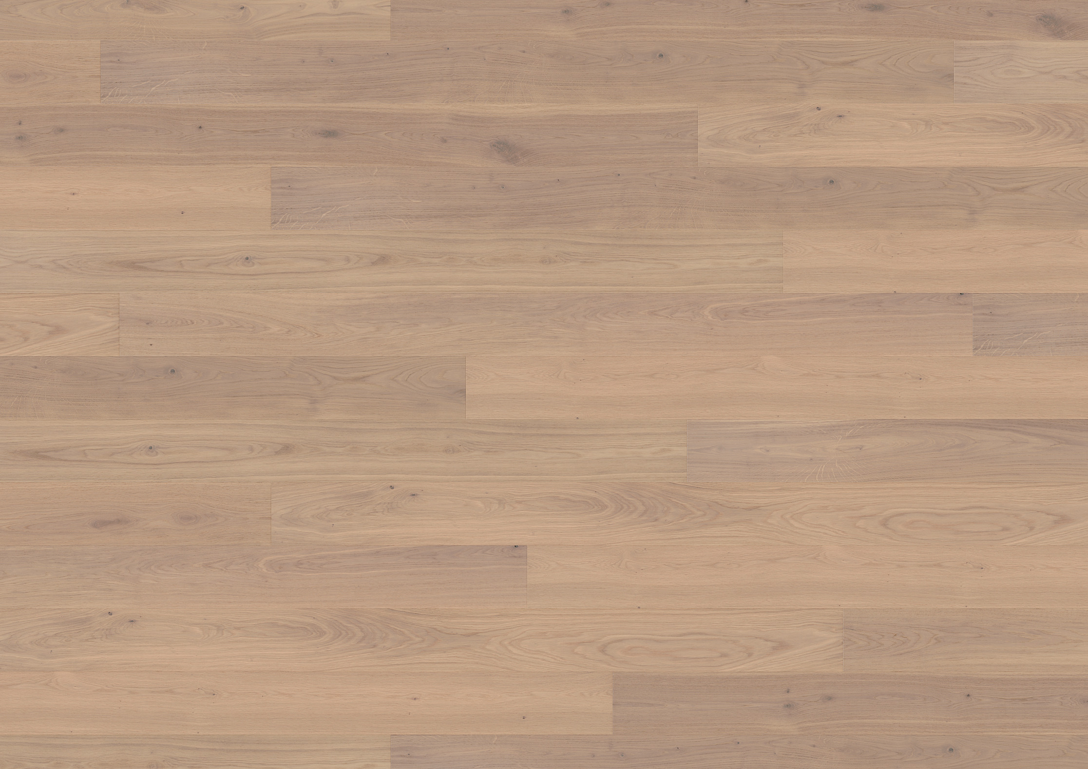 13 mm ter Hürne Parkett - Eiche Asti_3 13 mm ter Hürne Parkett - Eiche Asti_3