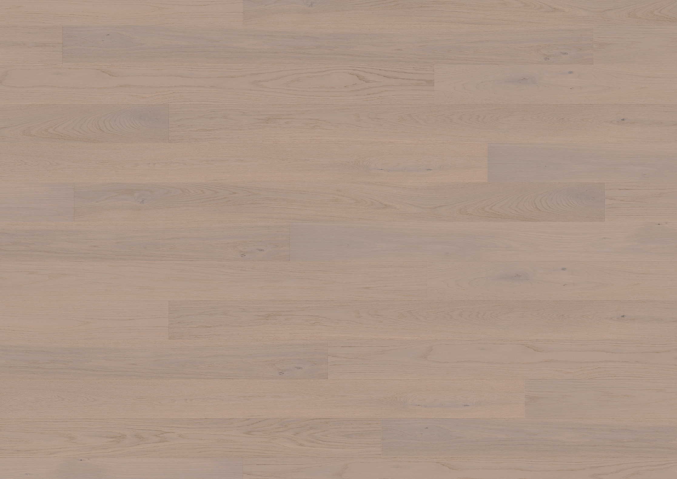 13 mm ter Hürne Parkett - Eiche Soave_3 13 mm ter Hürne Parkett - Eiche Soave_3