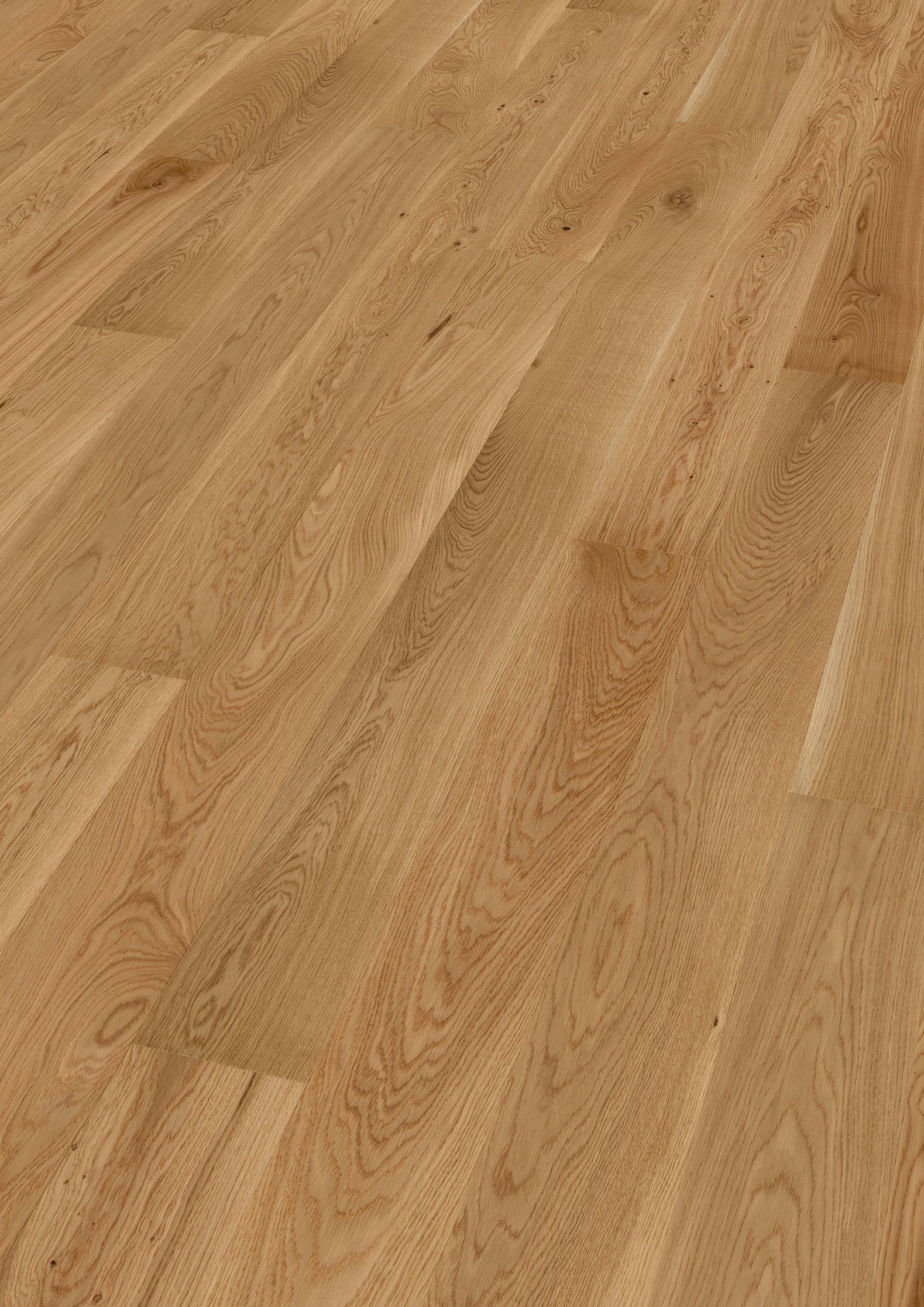 13 mm ter Hürne Parkett - Eiche Molinaria_1 13 mm ter Hürne Parkett - Eiche Molinaria_1