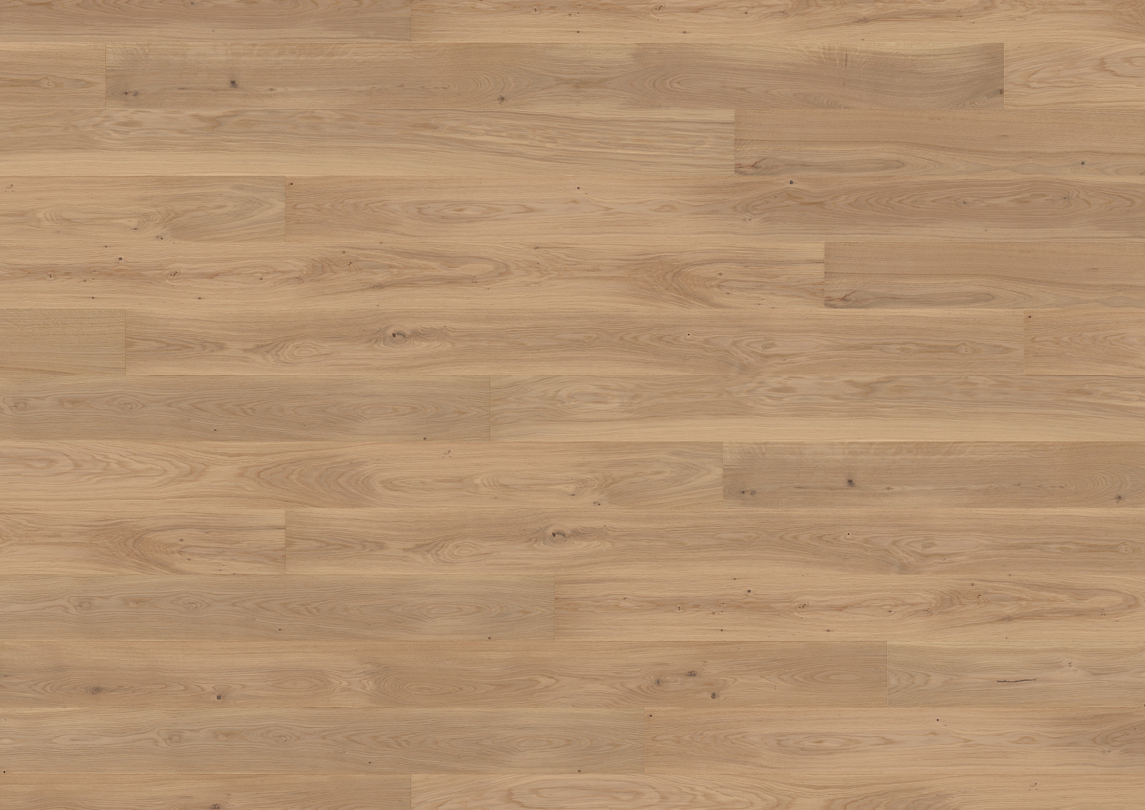 13 mm ter Hürne Parkett - Eiche Muscadet_3 13 mm ter Hürne Parkett - Eiche Muscadet_3