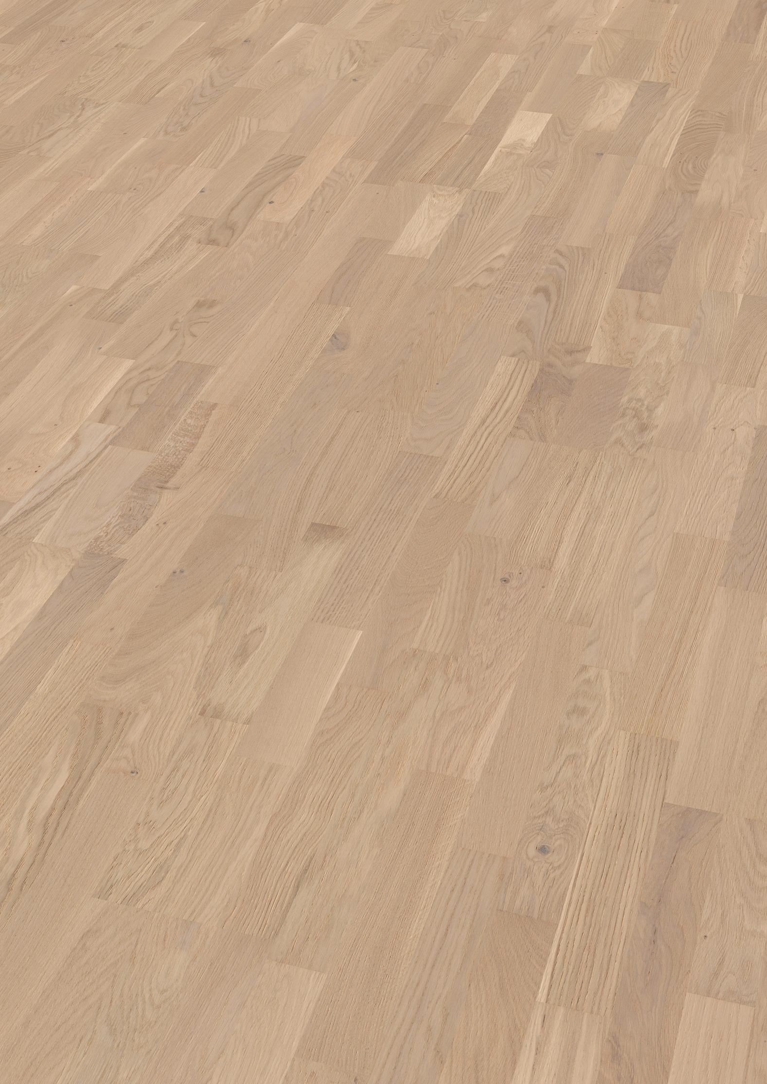 13 mm ter Hürne Parkett - Eiche Champagne_1 13 mm ter Hürne Parkett - Eiche Champagne_1