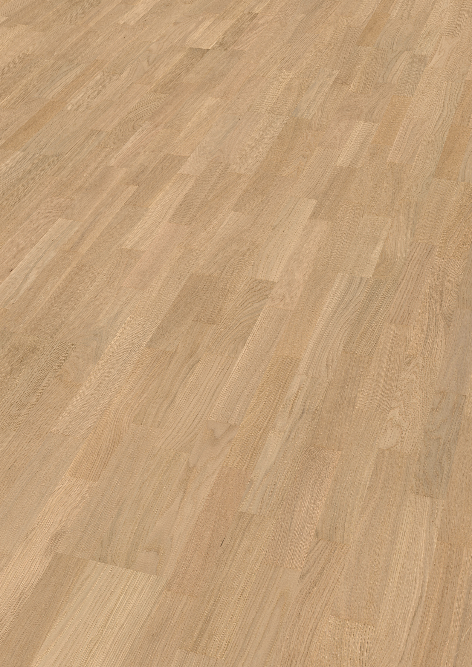 13 mm ter Hürne Parkett - Eiche Elbling_1 13 mm ter Hürne Parkett - Eiche Elbling_1