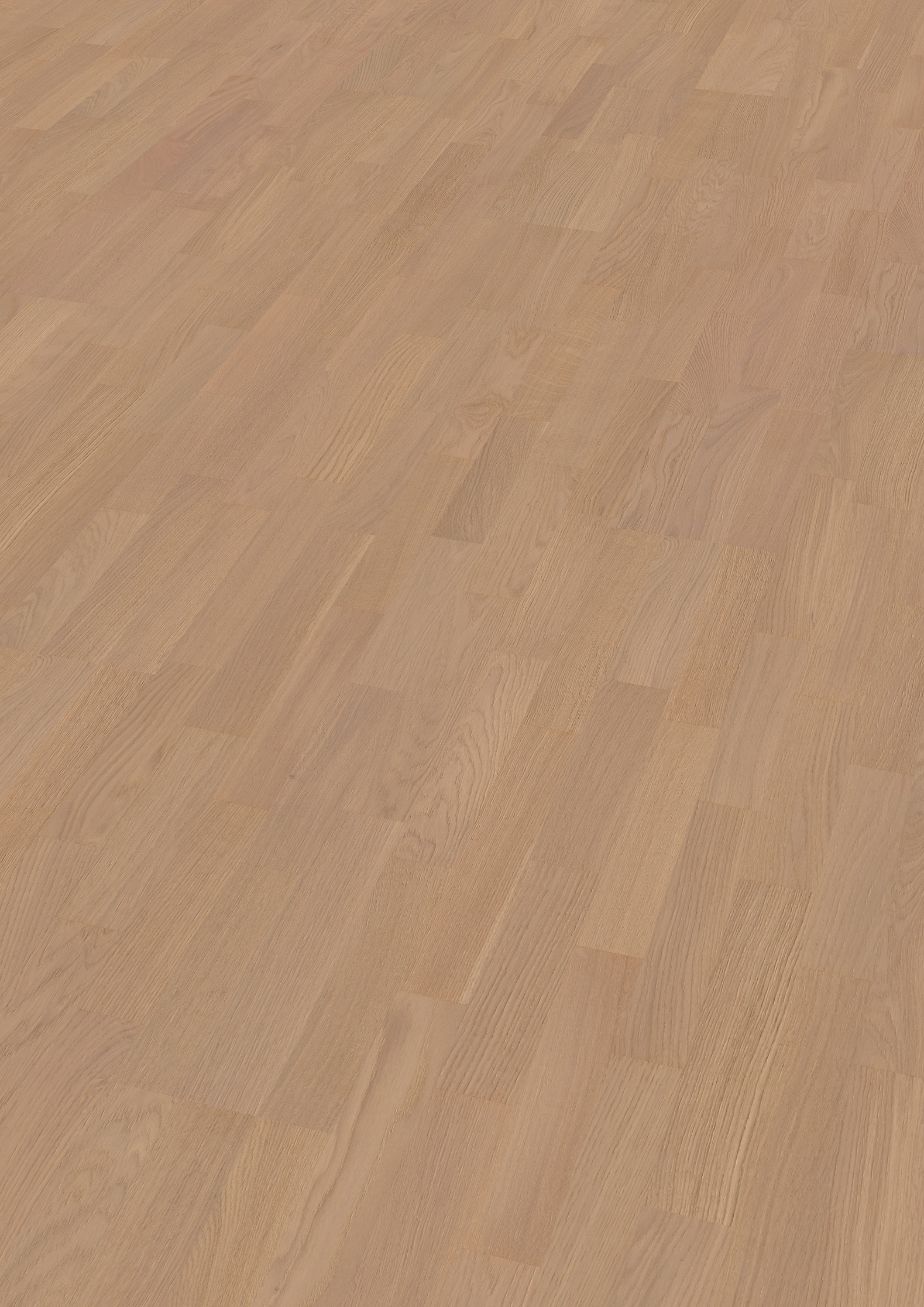 13 mm ter Hürne Parkett - Eiche Gamay_1 13 mm ter Hürne Parkett - Eiche Gamay_1