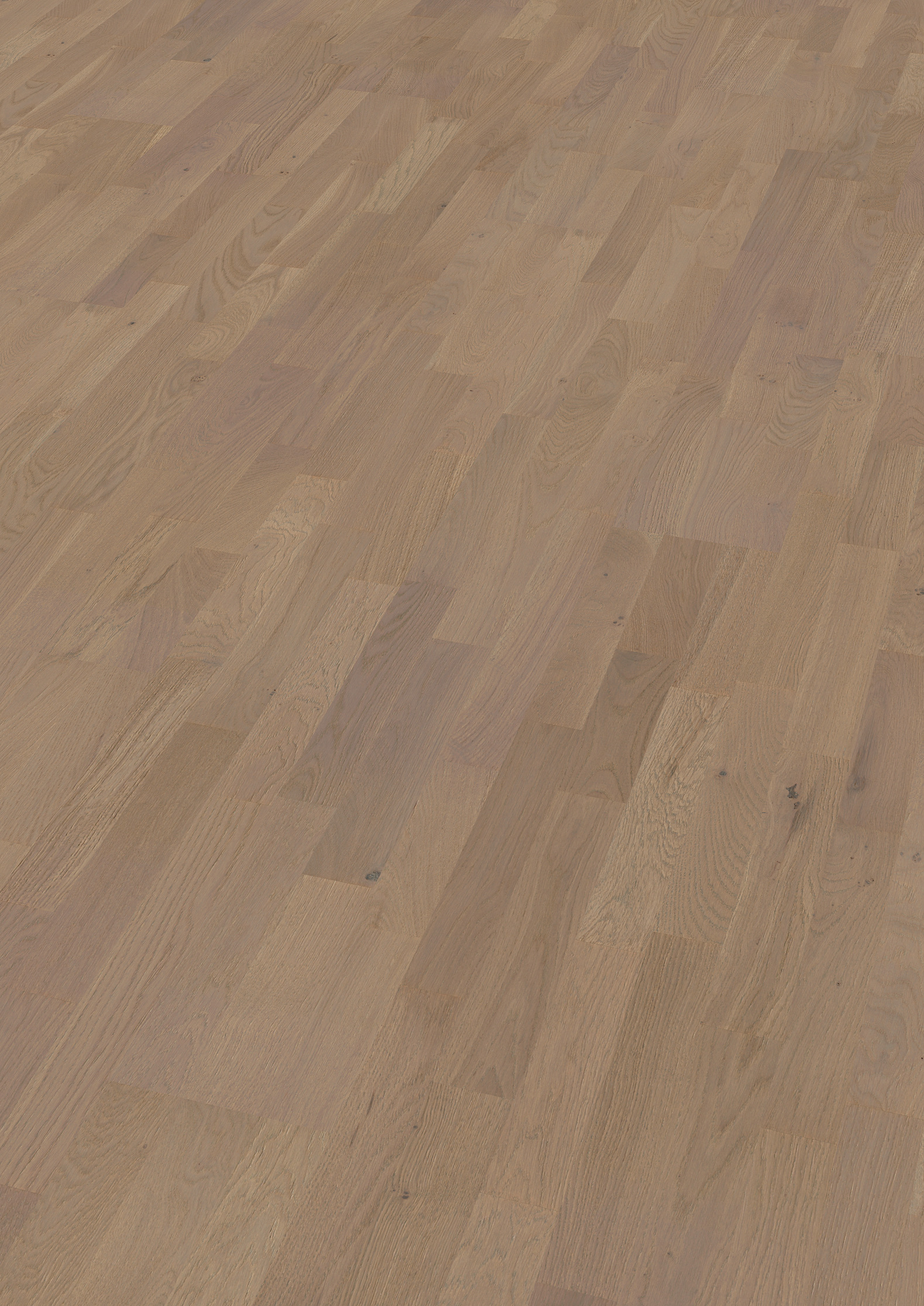 13 mm ter Hürne Parkett - Eiche Bacchus_1 13 mm ter Hürne Parkett - Eiche Bacchus_1