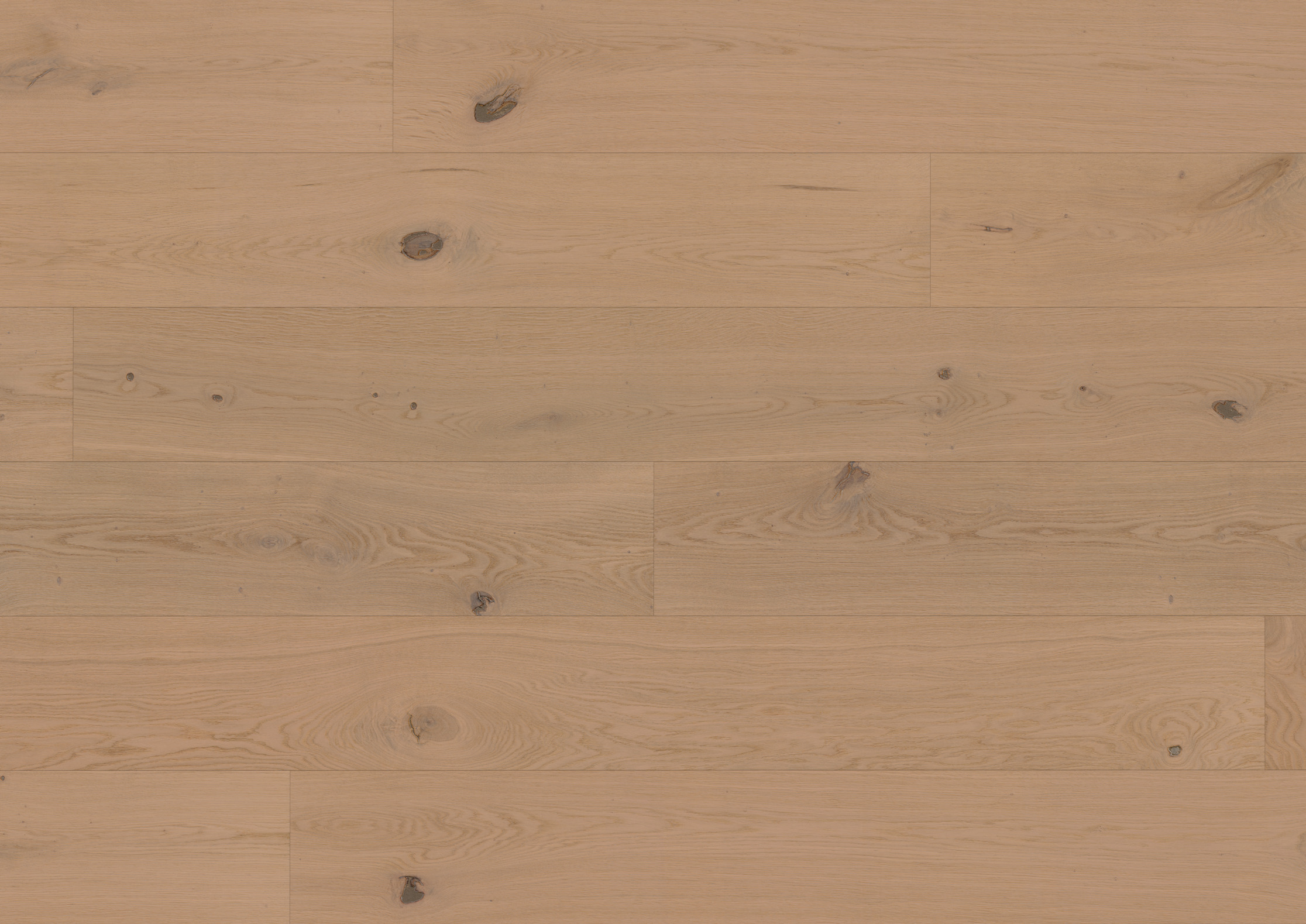 11 mm ter Hürne Hywood EVO - Eiche Nieuw Land_1 11 mm ter Hürne Hywood EVO - Eiche Nieuw Land_1