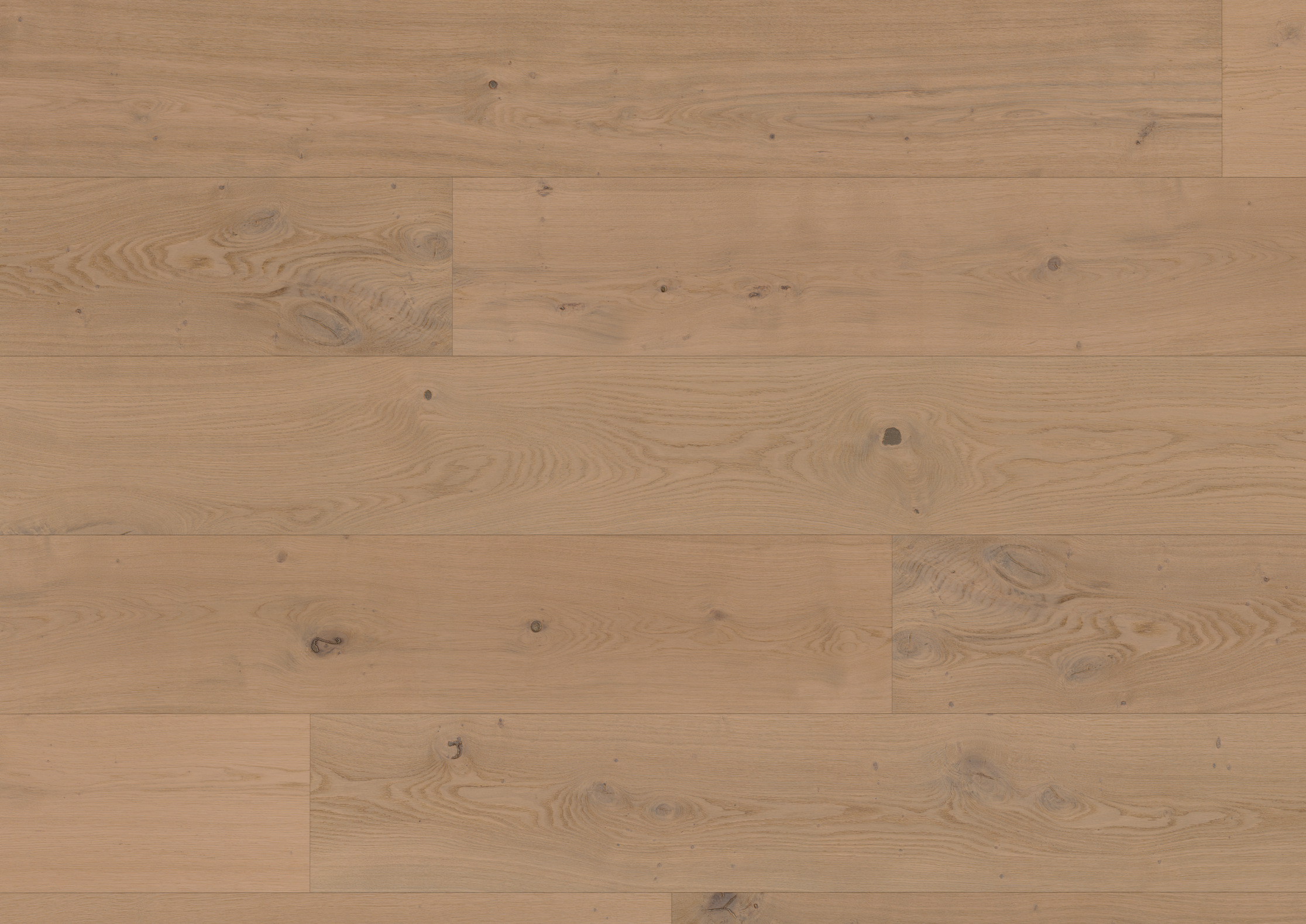 11 mm ter Hürne Hywood EVO - Eiche Nieuw Land_1 11 mm ter Hürne Hywood EVO - Eiche Nieuw Land_1