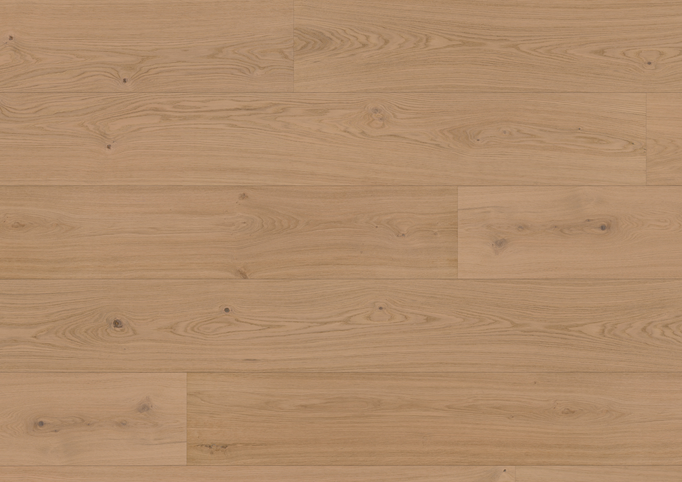 11 mm ter Hürne Hywood EVO - Eiche Pirin_1 11 mm ter Hürne Hywood EVO - Eiche Pirin_1