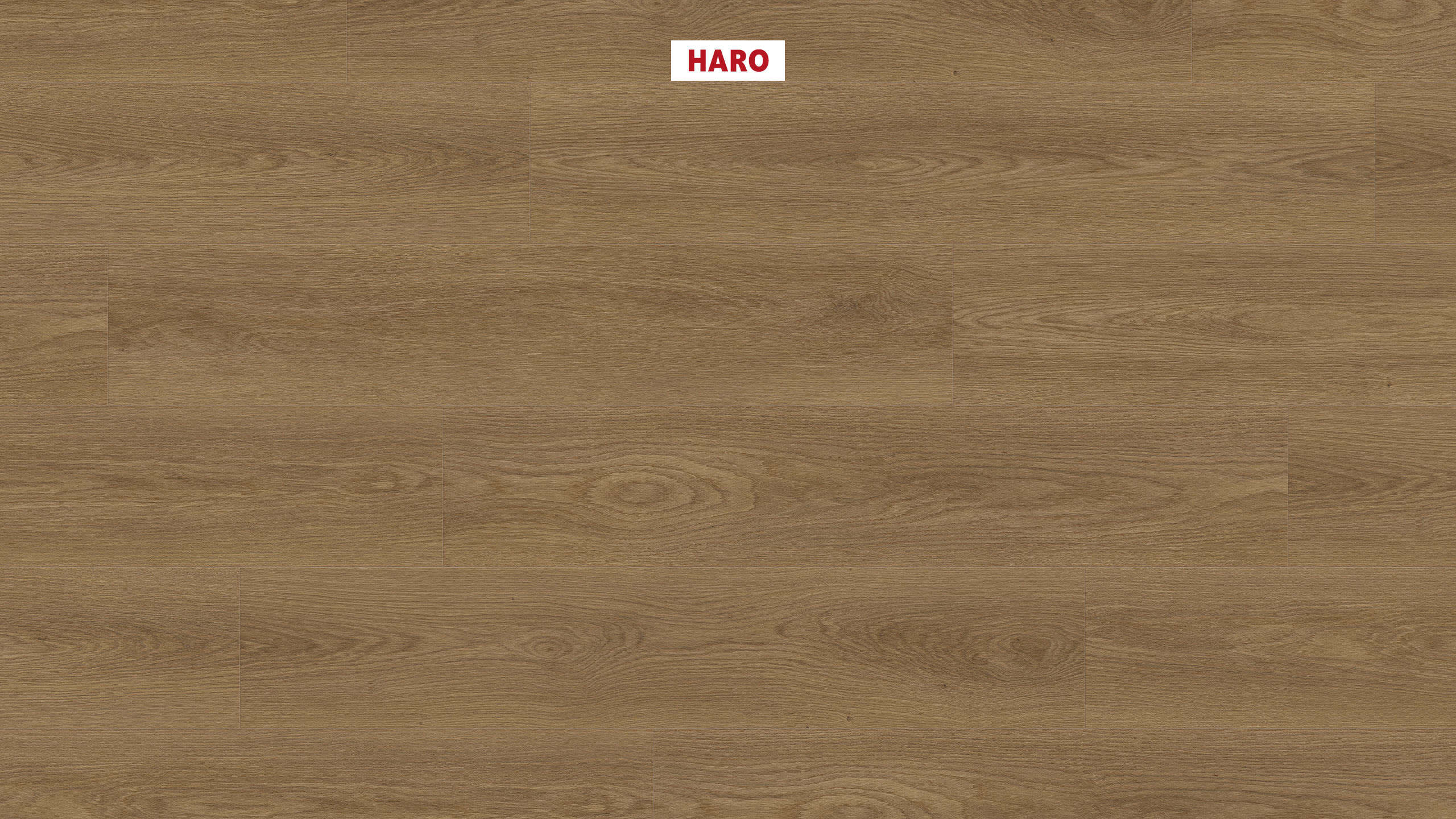 2 mm HARO DISANO Project - Eiche Picardie natur_0 2 mm HARO DISANO Project - Eiche Picardie natur_0