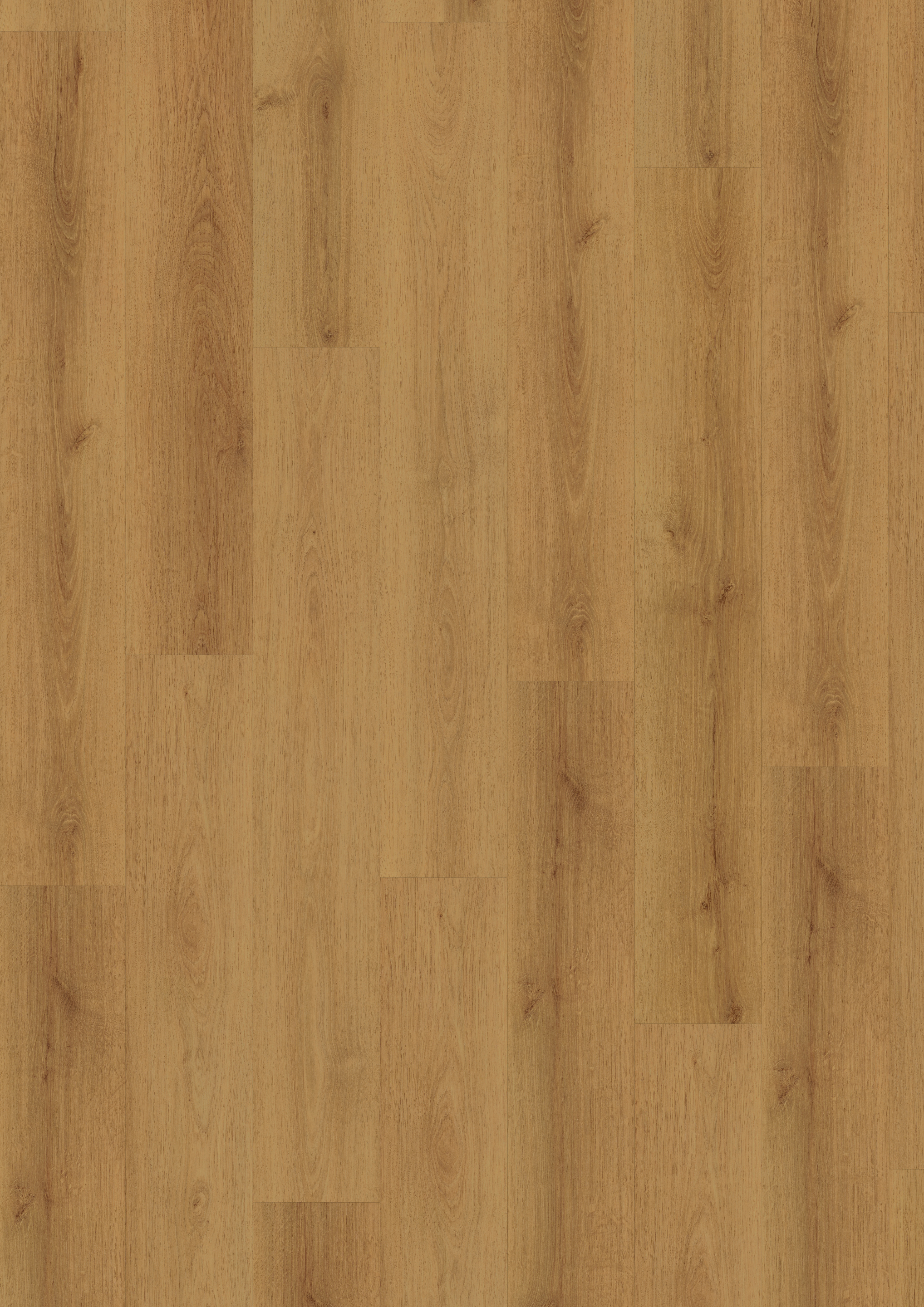 7,5 mm EGGER - Meran Eiche - EDF103_3