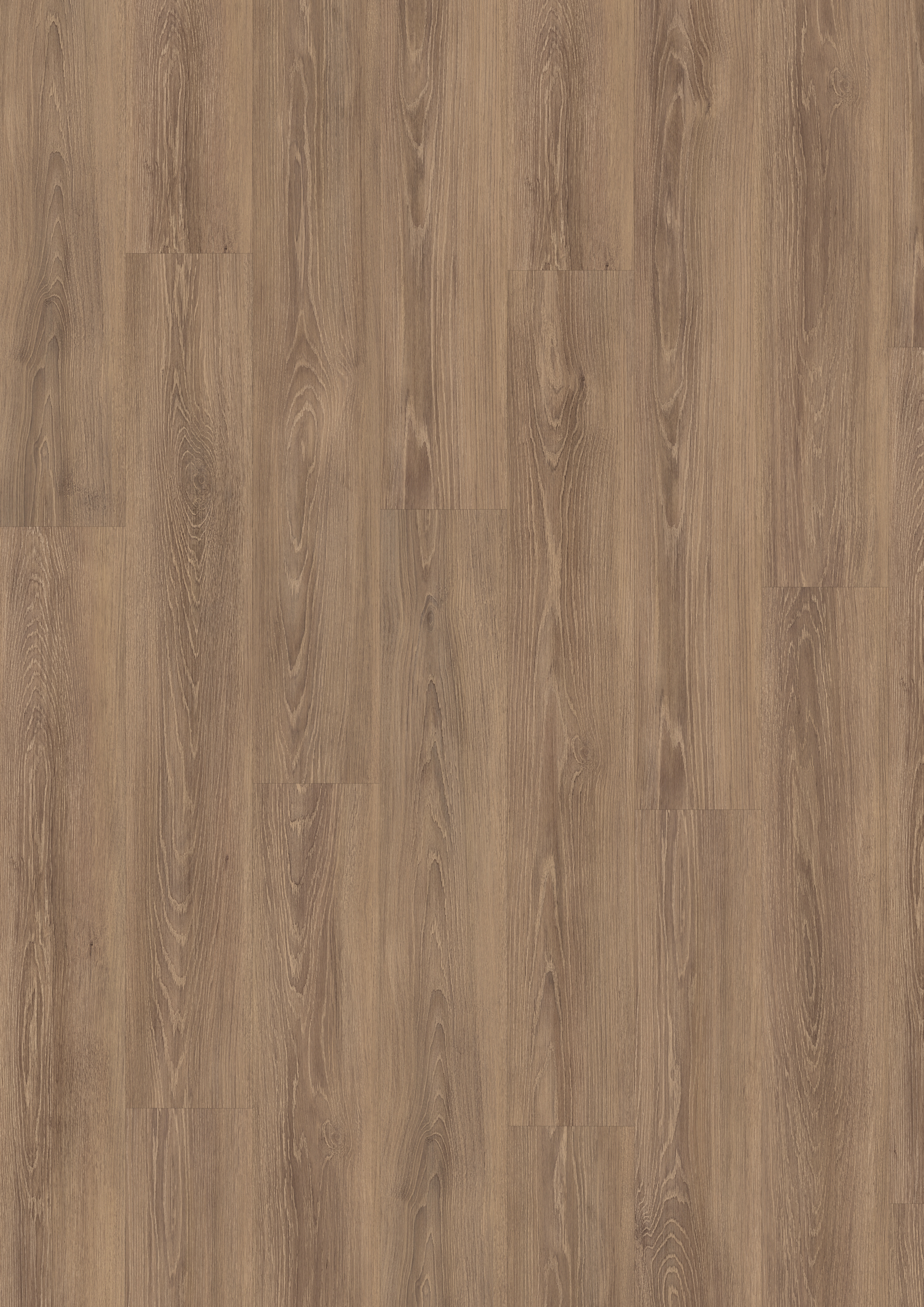 7,5 mm EGGER - Capri Eiche braun - EDF197_3