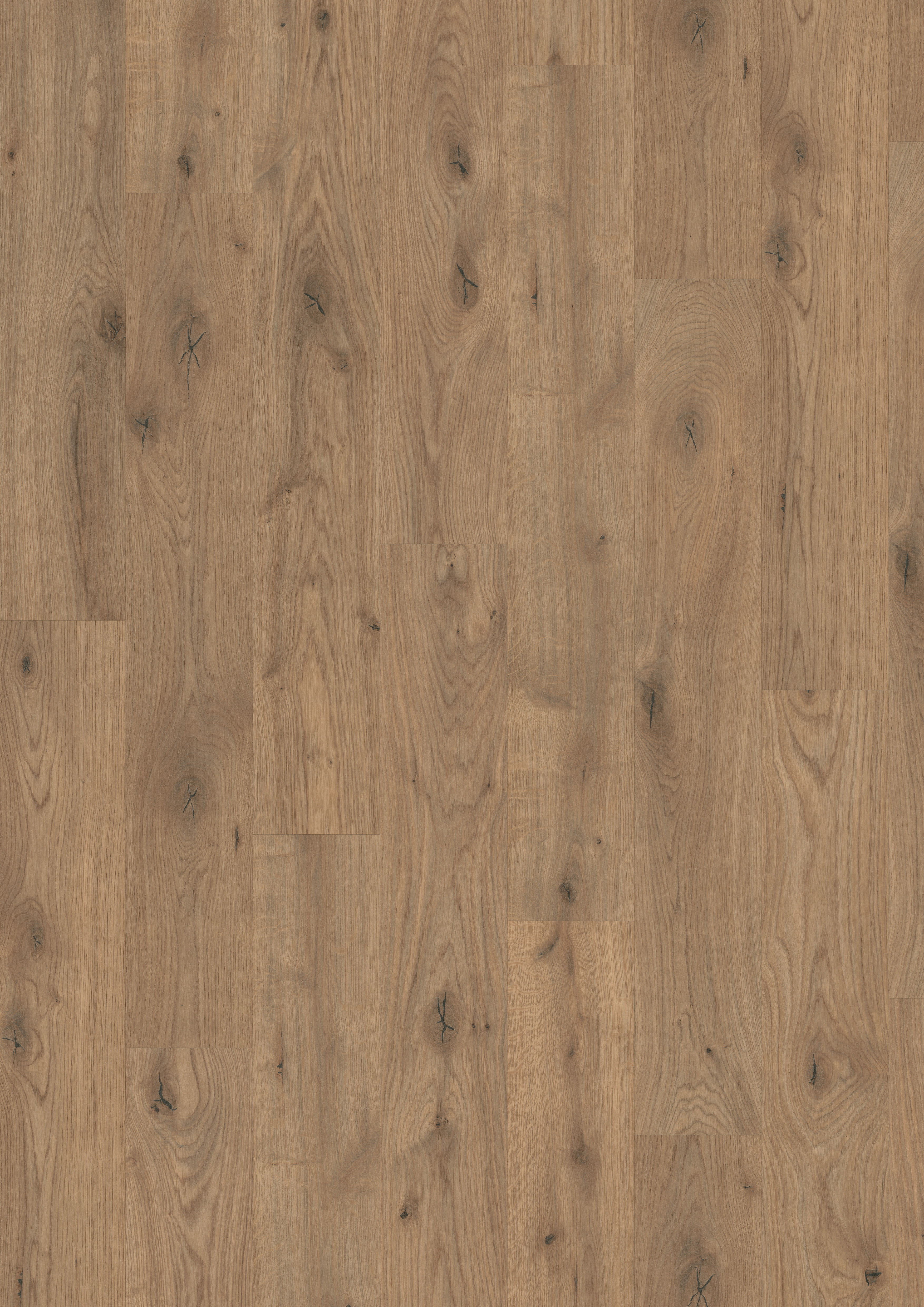 7,5 mm EGGER - Almington Eiche natur - EDF177_3