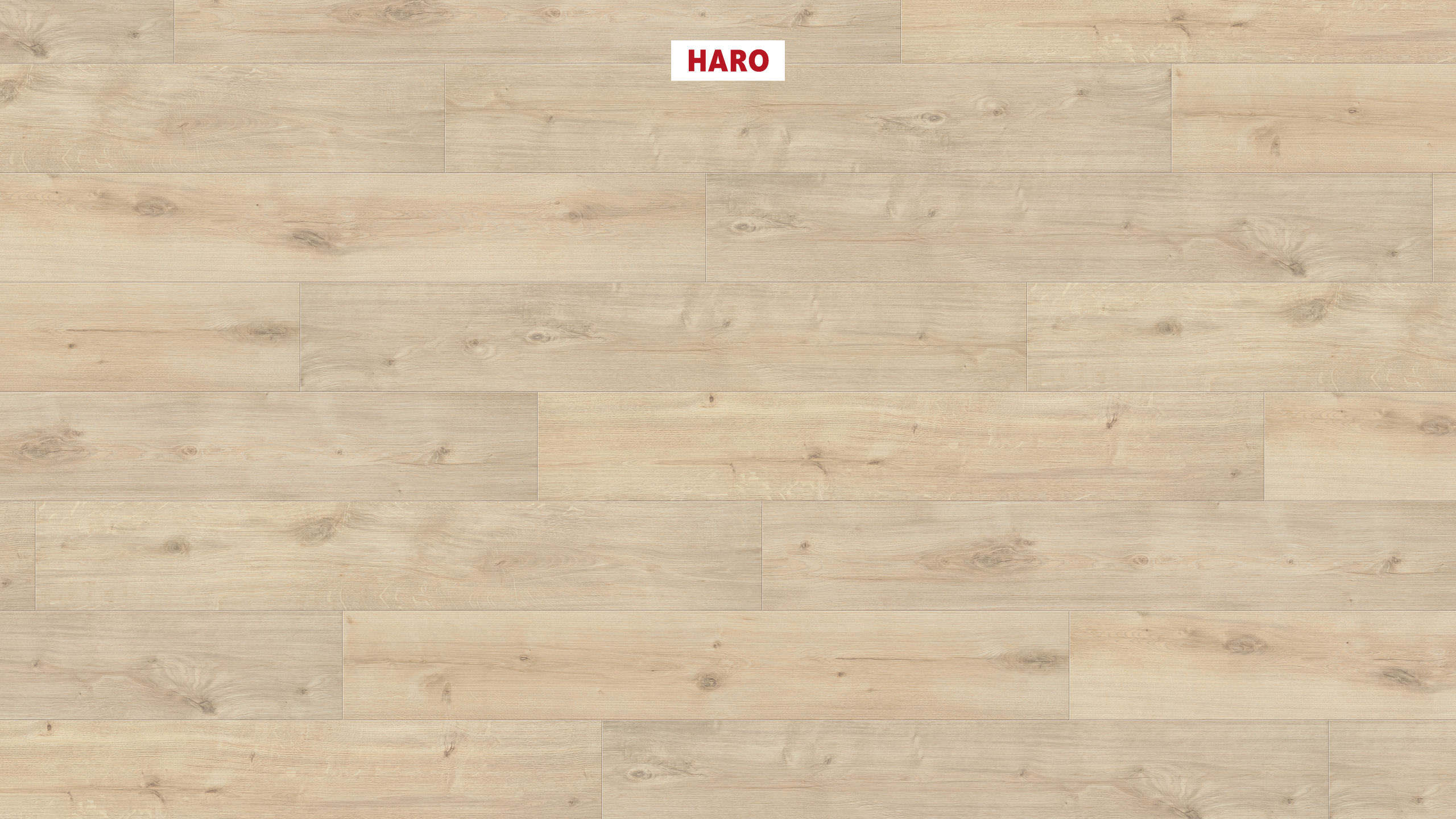 7 mm HARO Laminatboden Sonderedition NKL 31 - Eiche Siena samtweiß_0