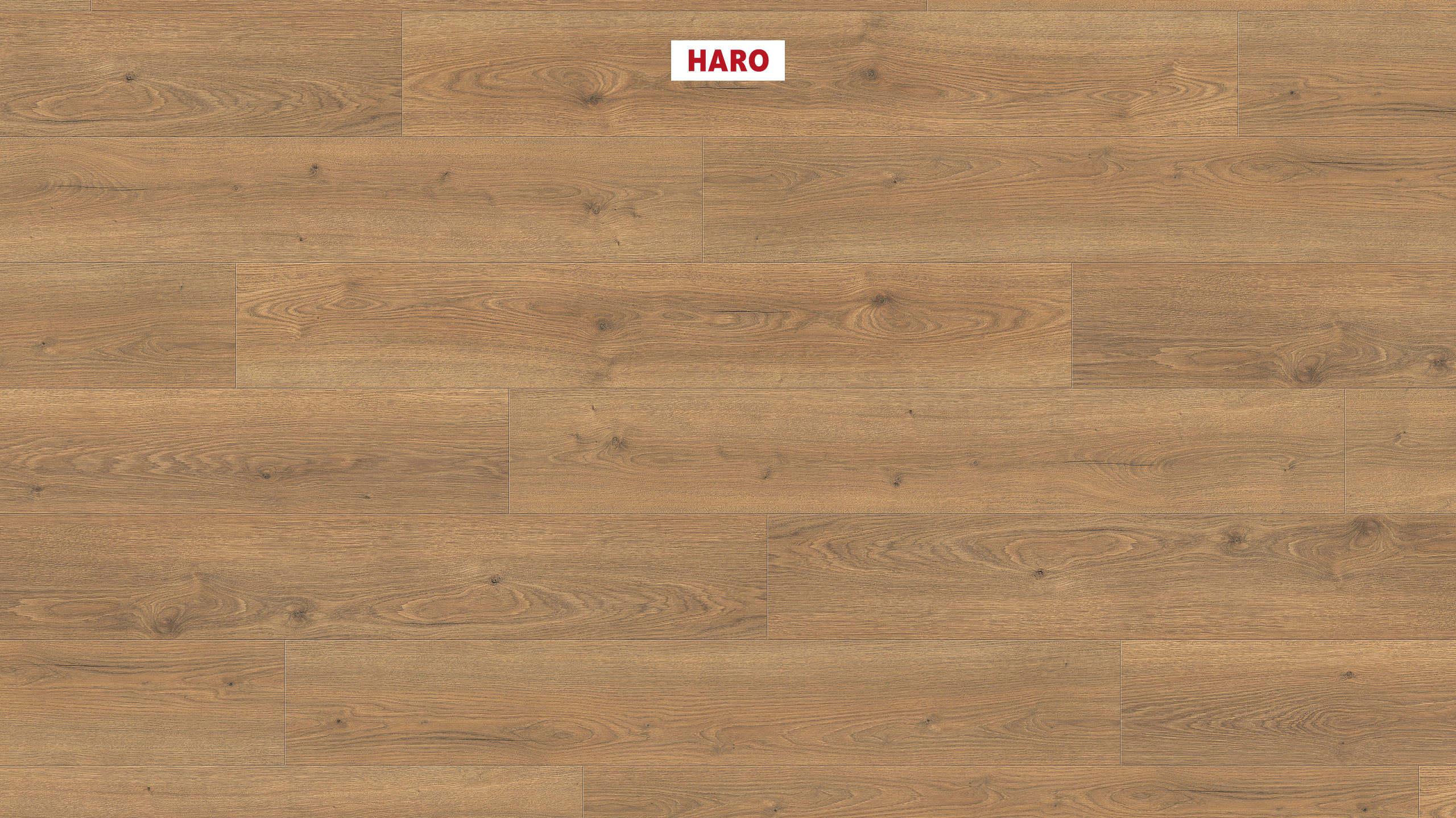 8 mm HARO Laminatboden Tritty 100 - Eiche Flavia natur_0