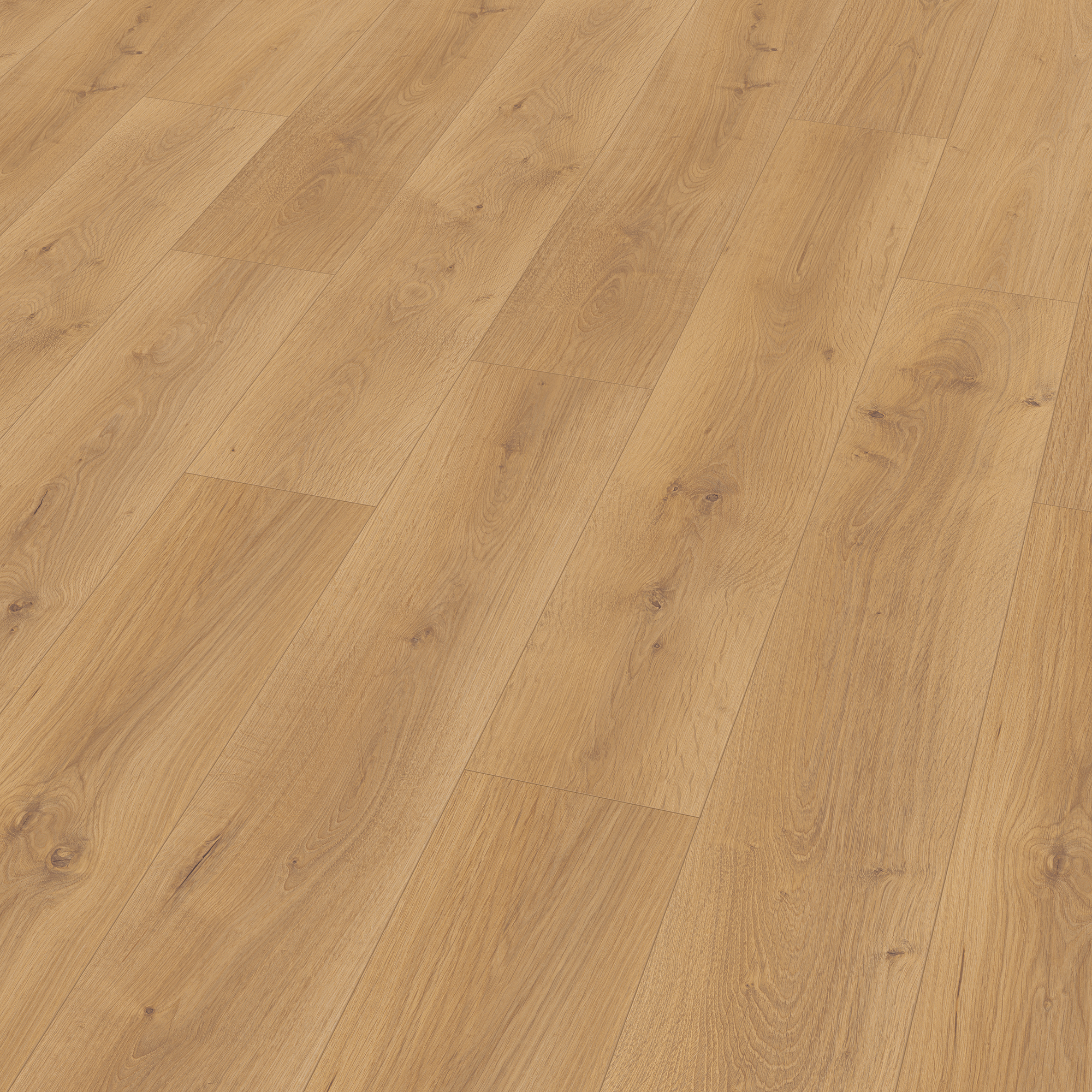 10 mm EGGER - Pinot Eiche honig - EL2114_1