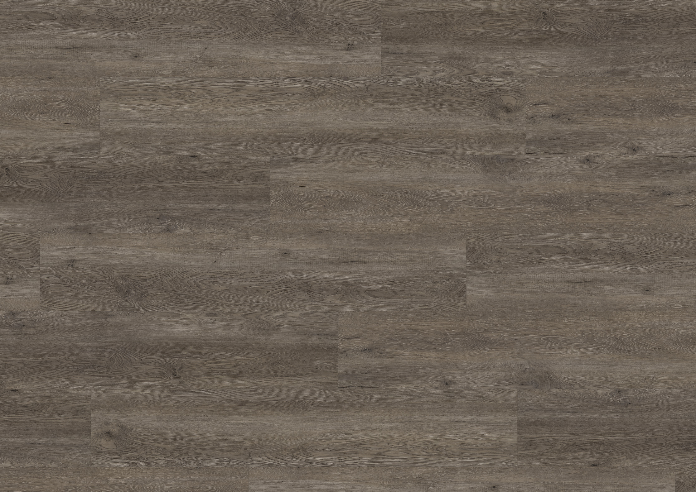 2,5 mm ter Hürne Soya Design-Vinylboden - Eiche Canberra_1