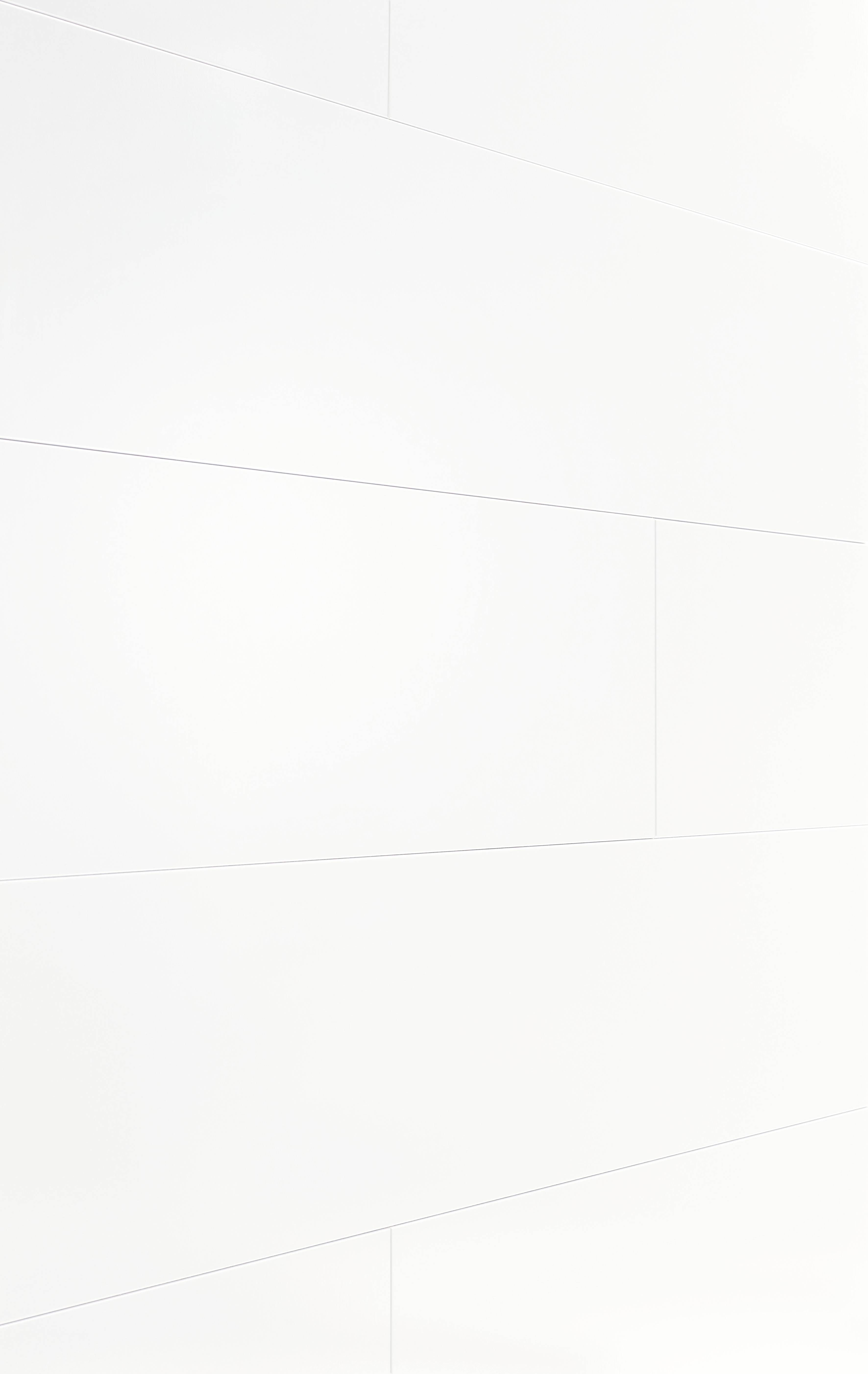 12 x 250 mm MeisterPaneele. bocado DP 250 - Weiß Hochglanz 04084_1 12 x 250 mm MeisterPaneele. bocado DP 250 - Weiß Hochglanz 04084_1