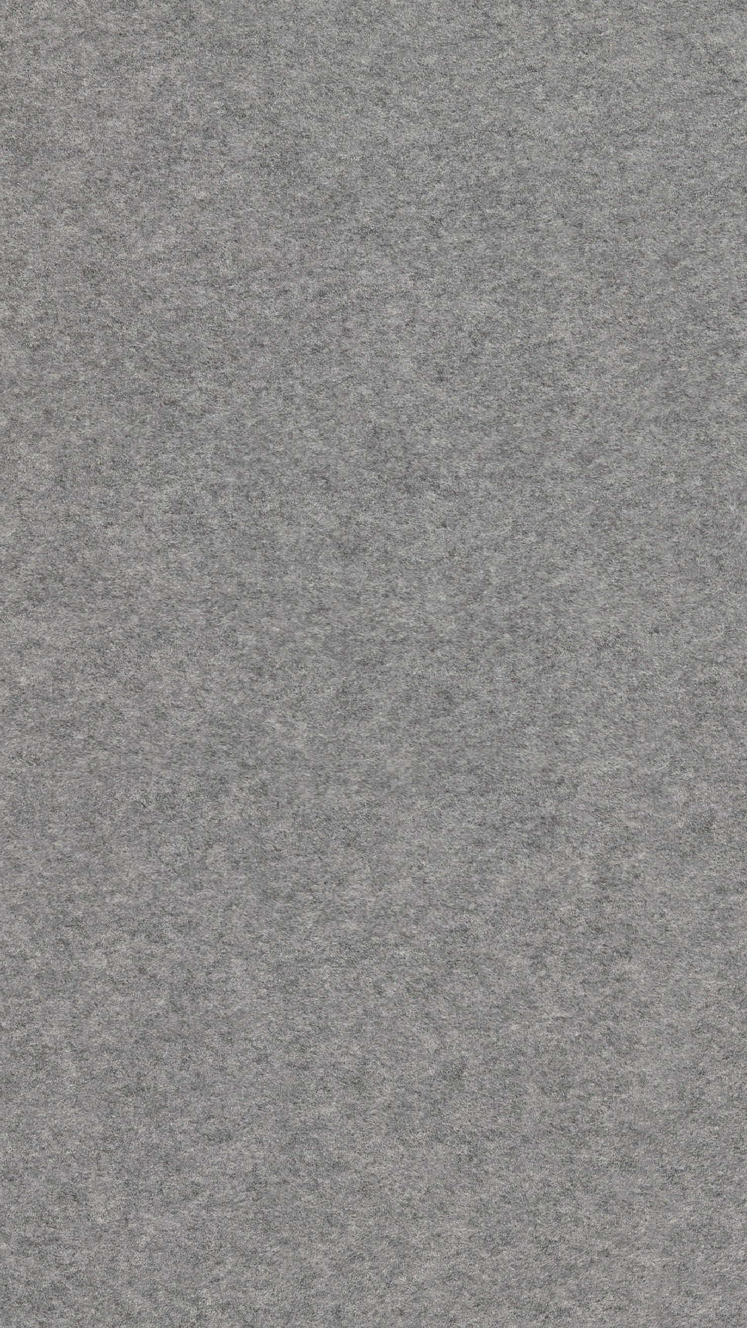 12 x 250 mm MeisterPaneele. bocado DP 250_0