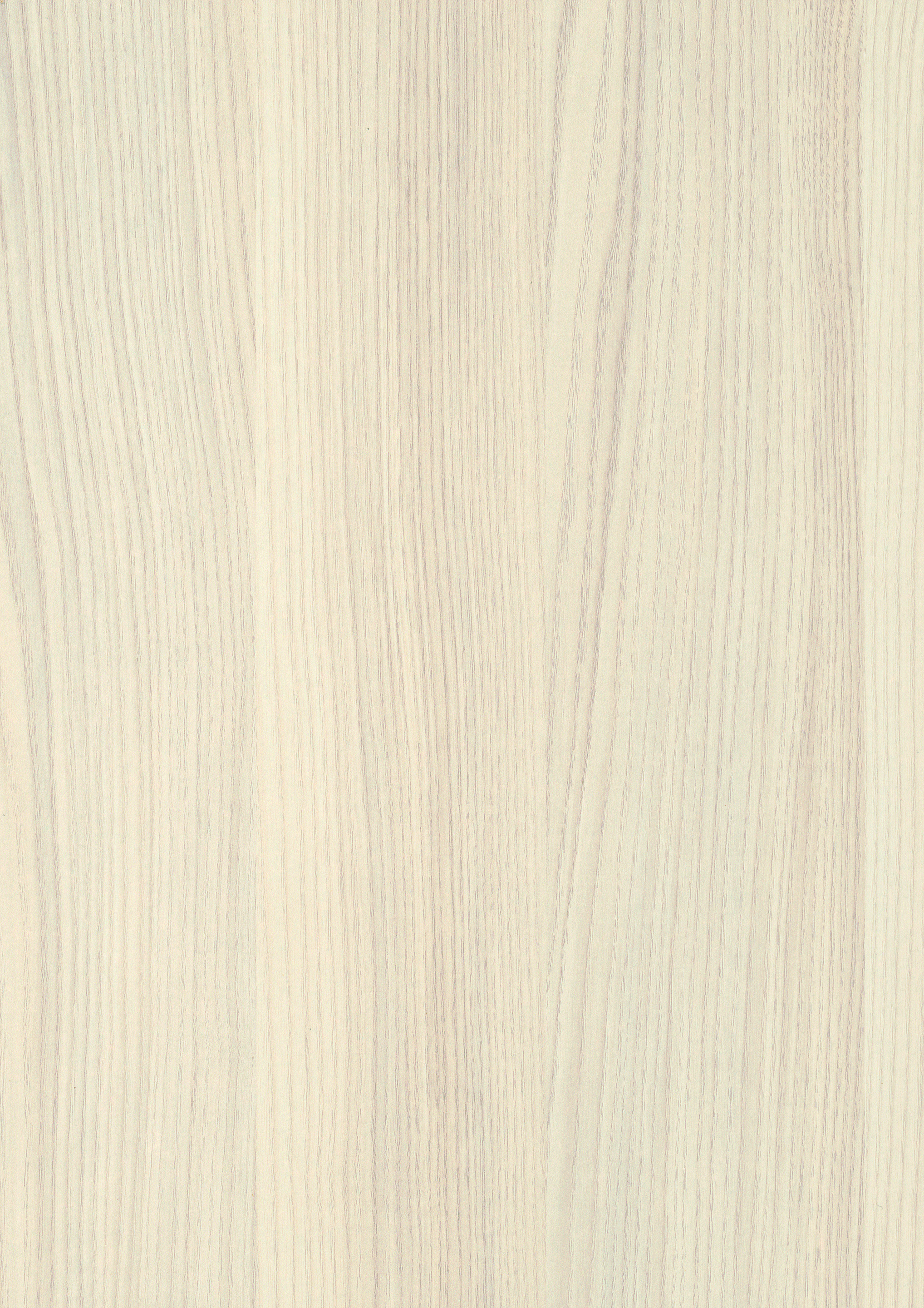 0,8/23 mm Egger ABS-Kante H1223 ST19 - Sevilla Esche_1 0,8/23 mm Egger ABS-Kante H1223 ST19 - Sevilla Esche_1