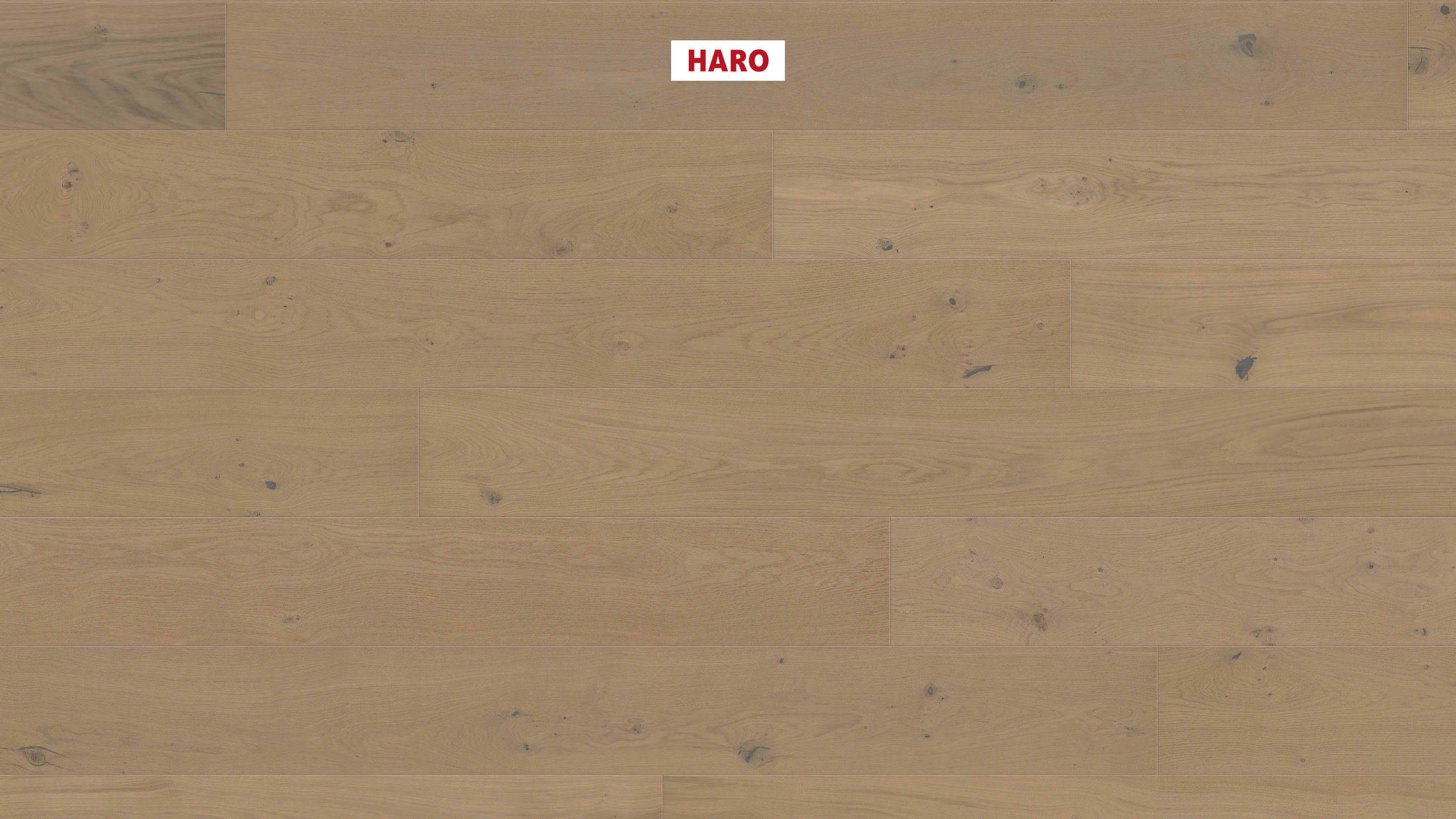 13,5 mm HARO Parkett Serie 4000 - Eiche sandgrau Sauvage, strukturiert 4V_0 13,5 mm HARO Parkett Serie 4000 - Eiche sandgrau Sauvage, strukturiert 4V_0