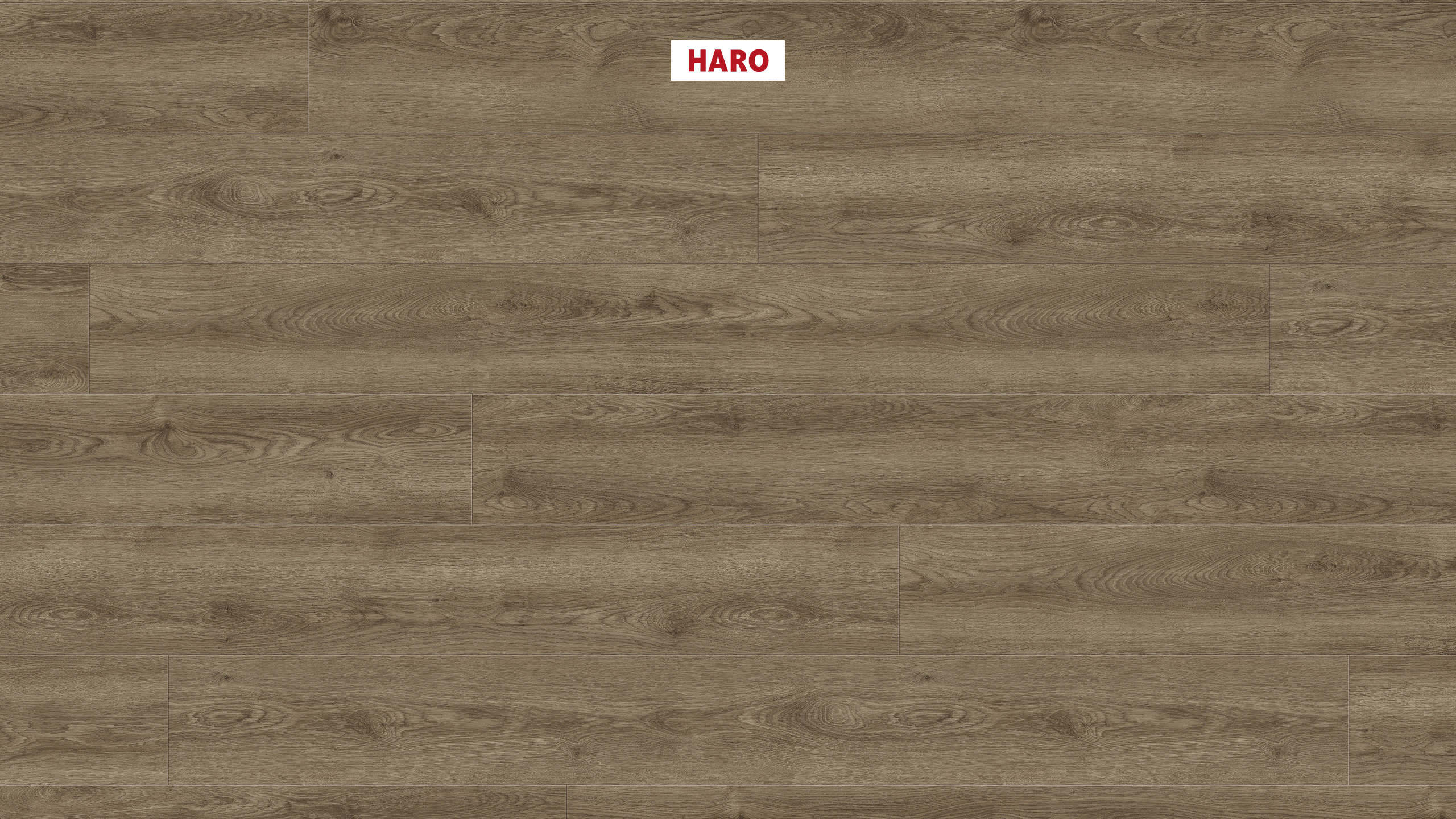 8 mm HARO DISANO WaveAqua - Eiche Victoria samtbraun_0