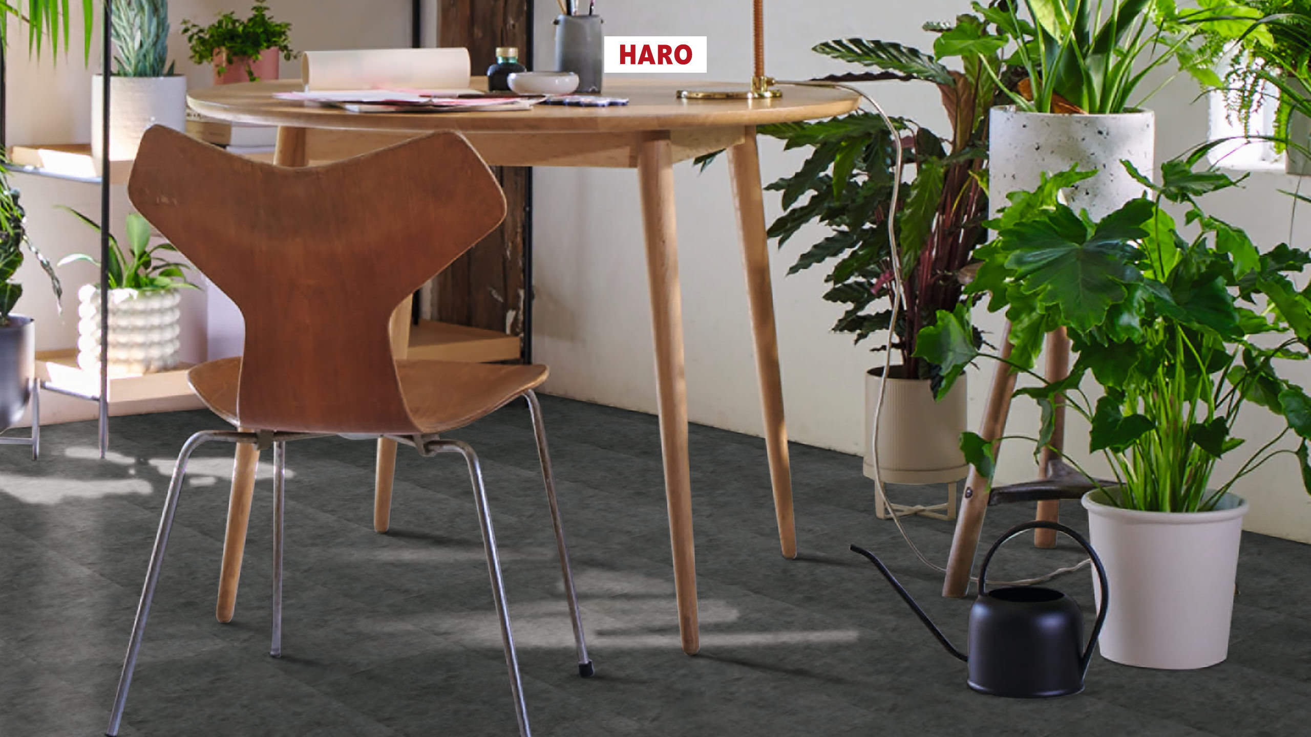 8 mm HARO Laminatboden Tritty 200 Aqua - Beton dunkel_1