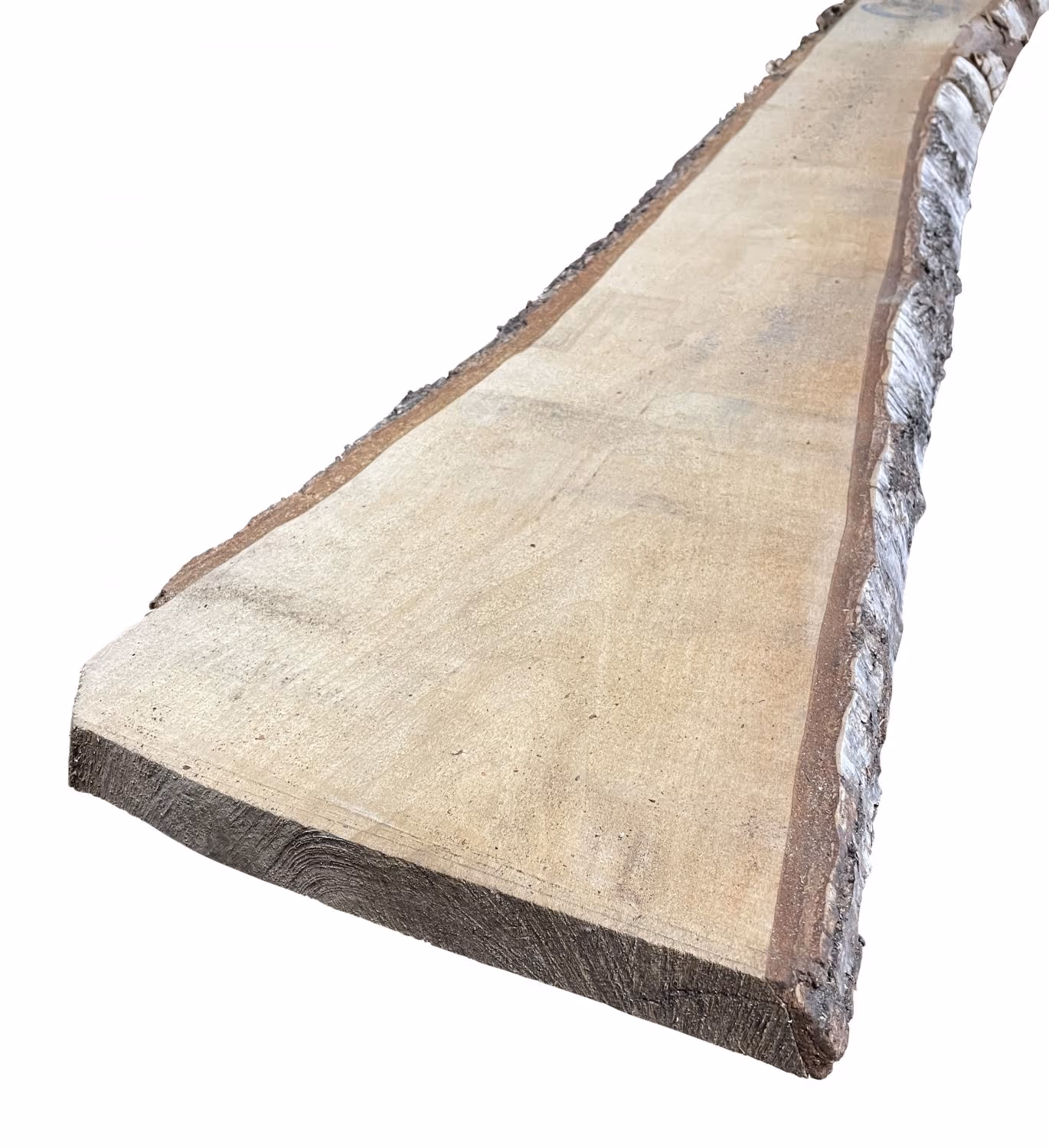 26-mm-birke-nordisch-kd-26x0mm-kd---kammertrocknung-besaeumt-birke-01 26 mm Birke, nordisch KD_26-mm-birke-nordisch-kd-26x0mm-kd---kammertrocknung-besaeumt-birke-01