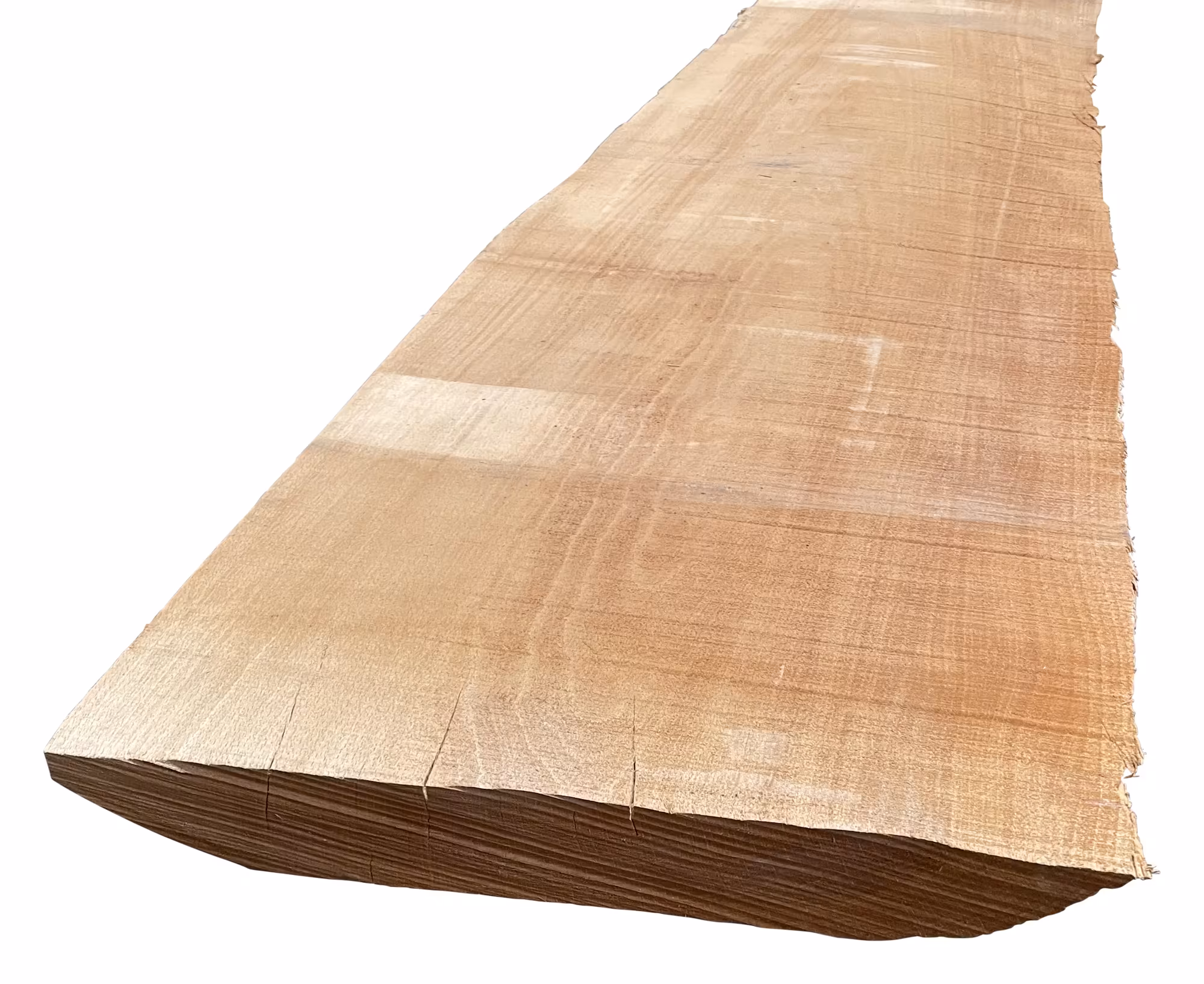 65 mm Buche, gedämpft KD_65-mm-buche-gedaempft-kd-65x0mm-buche-kd---kammertrocknung-besaeumt-01