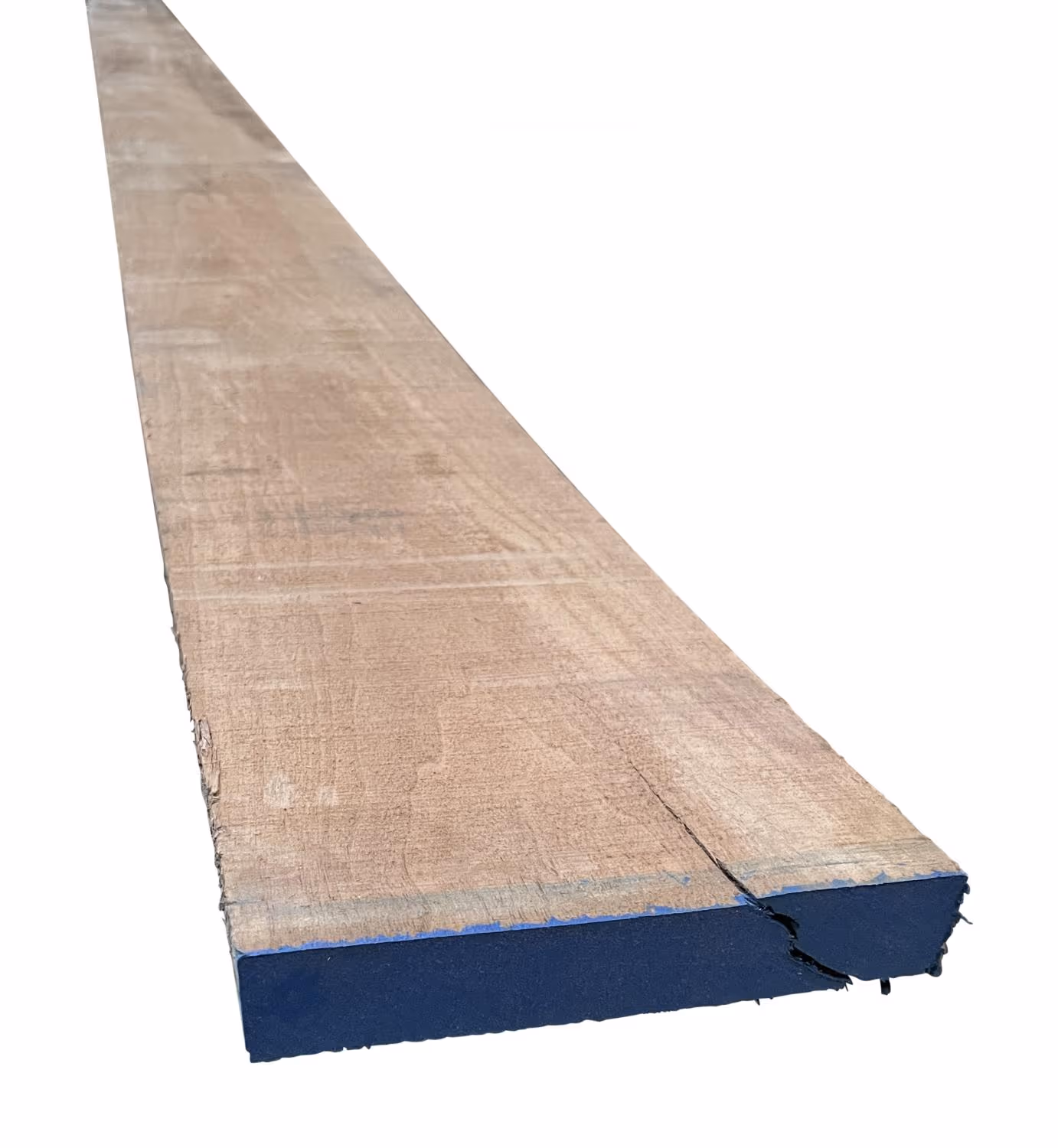 33 mm Nussbaum, amerik. KD_33-mm-nussbaum-amerik-kd-33x0mm-nussbaum-kd---kammertrocknung-unbesaeumt-01