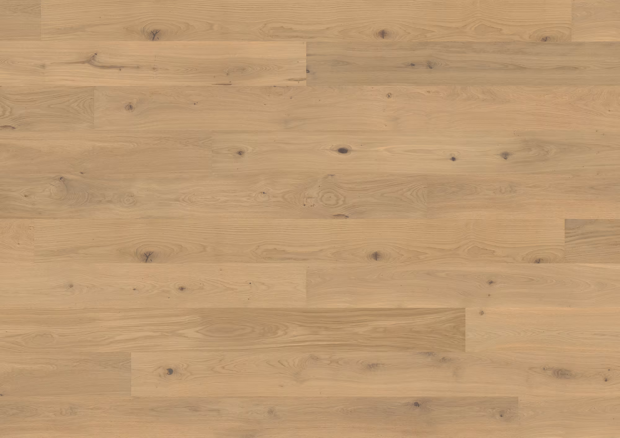 ter-huerne-14-mm-ter-huerne-parkett---eiche-mayfair-14x200x2390mm-eiche-naturgeoelt-blauer-engel-30-jahre-im-wohnbereich-nein-landhausdiele-01 14 mm ter Hürne Parkett - Eiche Mayfair_ter-huerne-14-mm-ter-huerne-parkett---eiche-mayfair-14x200x2390mm-eiche-naturgeoelt-blauer-engel-30-jahre-im-wohnbereich-nein-landhausdiele-01