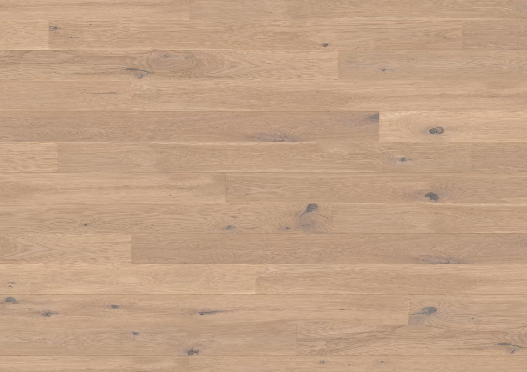 ter-huerne-13-mm-ter-huerne-parkett---eiche-cremant-13x162x2190mm-eiche-naturgeoelt-blauer-engel-30-jahre-im-wohnbereich-nein-landhausdiele-02 13 mm ter Hürne Parkett - Eiche Cremant_ter-huerne-13-mm-ter-huerne-parkett---eiche-cremant-13x162x2190mm-eiche-naturgeoelt-blauer-engel-30-jahre-im-wohnbereich-nein-landhausdiele-02