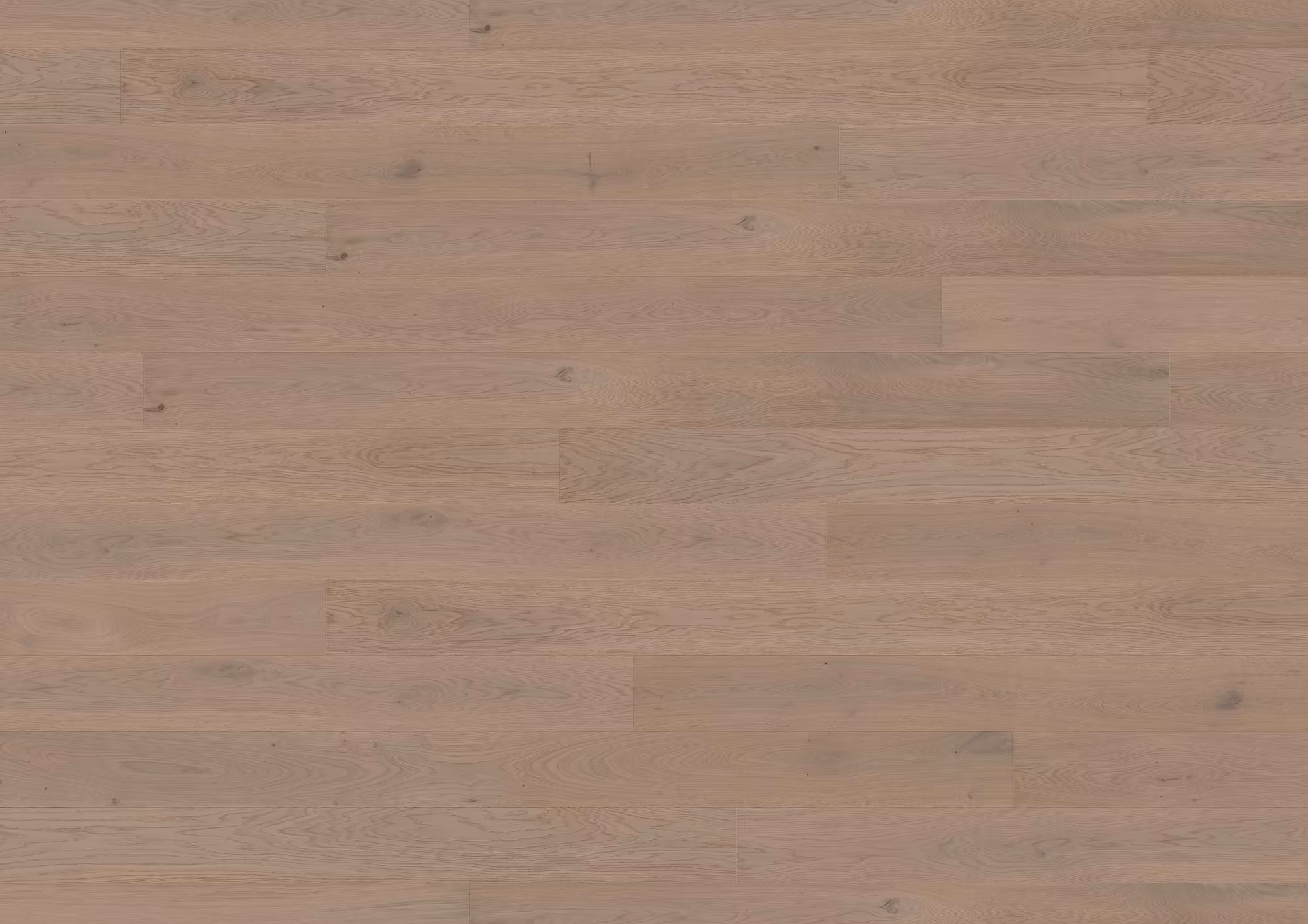 ter-huerne-13-mm-ter-huerne-parkett---eiche-chablis-13x162x2190mm-eiche-blauer-engel-30-jahre-im-wohnbereich-nein-landhausdiele-mattlackiert-02 13 mm ter Hürne Parkett - Eiche Chablis_ter-huerne-13-mm-ter-huerne-parkett---eiche-chablis-13x162x2190mm-eiche-blauer-engel-30-jahre-im-wohnbereich-nein-landhausdiele-mattlackiert-02