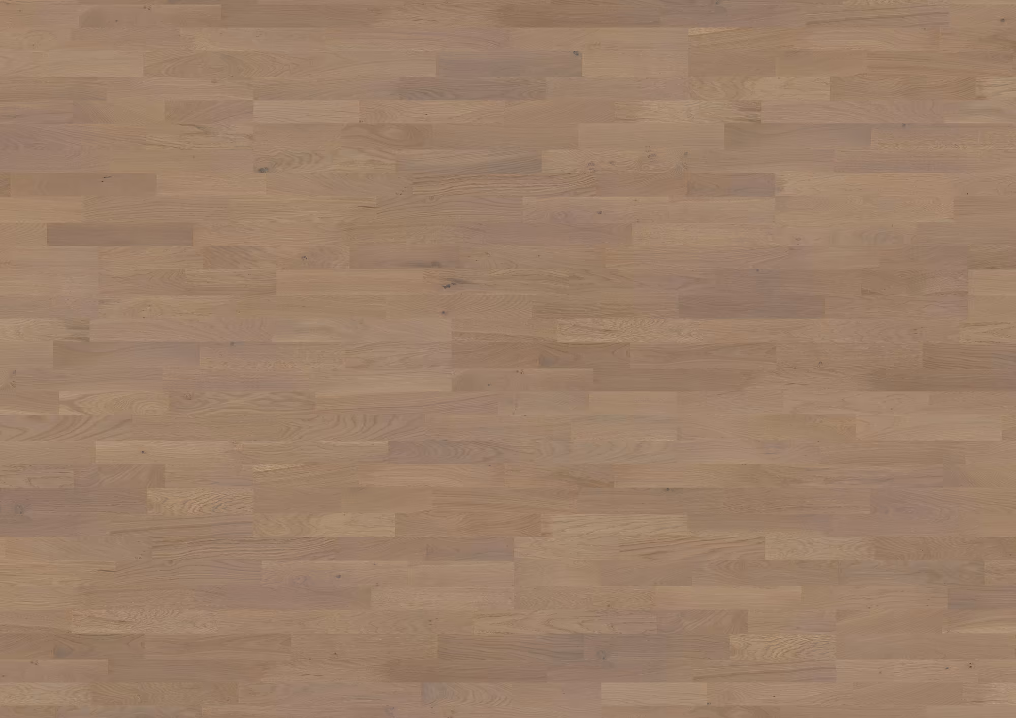 ter-huerne-13-mm-ter-huerne-parkett---eiche-bacchus-13x200x2390mm-eiche-naturgeoelt-blauer-engel-schiffsboden-30-jahre-im-wohnbereich-nein-02 13 mm ter Hürne Parkett - Eiche Bacchus_ter-huerne-13-mm-ter-huerne-parkett---eiche-bacchus-13x200x2390mm-eiche-naturgeoelt-blauer-engel-schiffsboden-30-jahre-im-wohnbereich-nein-02