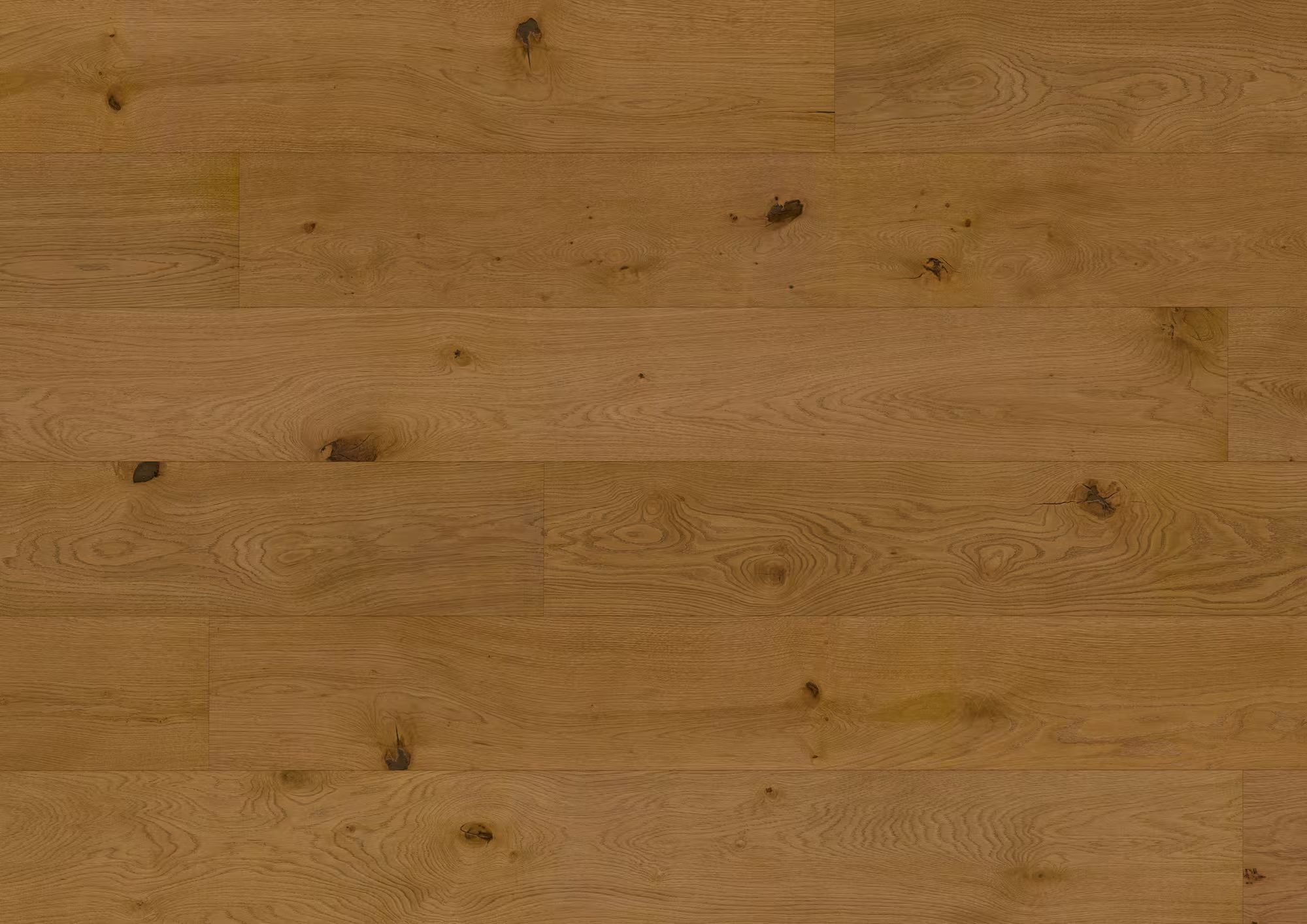 11 mm ter Hürne Hywood EVO - Eiche Iraty_ter-huerne-11-mm-ter-huerne-hywood-evo---eiche-iraty-11x233x2197mm-umlaufende-microfase-ultramattlackiert-nein-r10-landhausdiele-lifetime-im-wohnbereich-ja-02 11 mm ter Hürne Hywood EVO - Eiche Iraty_ter-huerne-11-mm-ter-huerne-hywood-evo---eiche-iraty-11x233x2197mm-umlaufende-microfase-ultramattlackiert-nein-r10-landhausdiele-lifetime-im-wohnbereich-ja-02