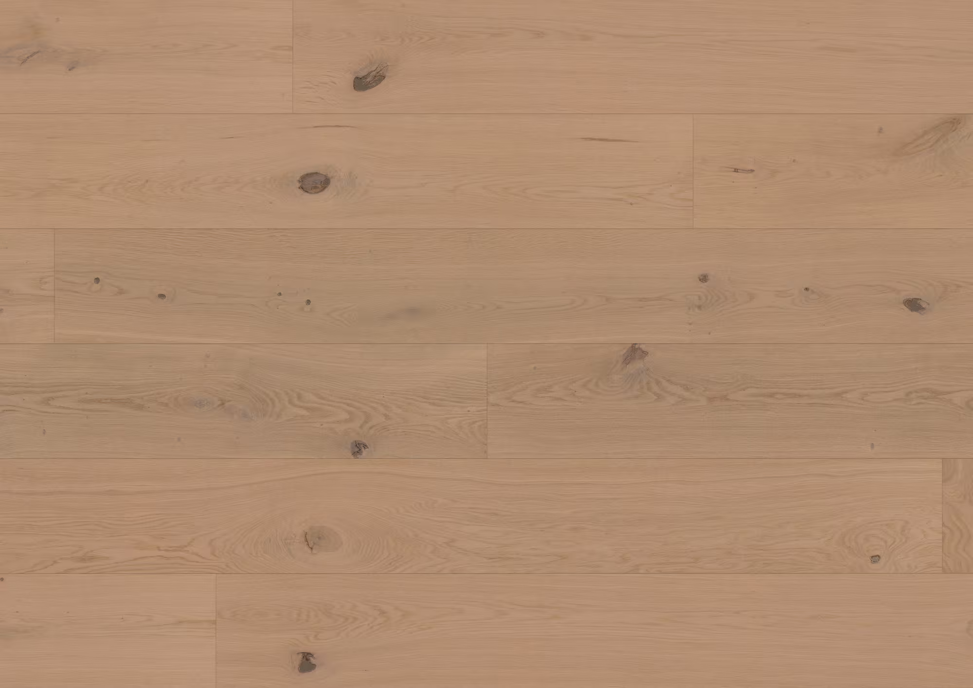 11 mm ter Hürne Hywood EVO - Eiche Nieuw Land_ter-huerne-11-mm-ter-huerne-hywood-evo---eiche-nieuw-land-11x233x2197mm-umlaufende-microfase-ultramattlackiert-nein-r10-landhausdiele-lifetime-im-wohnbereich-ja-02