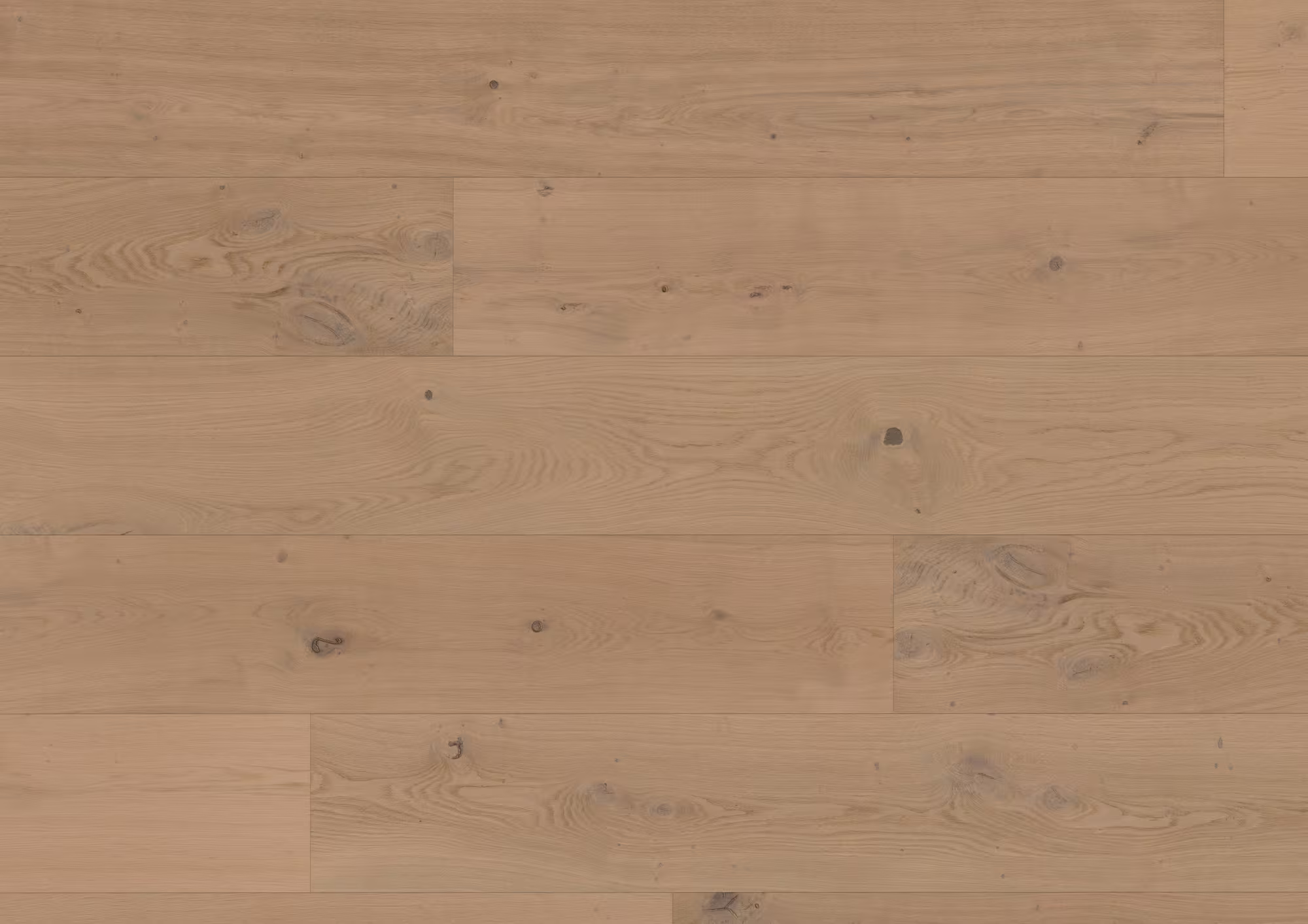 11 mm ter Hürne Hywood EVO - Eiche Nieuw Land_ter-huerne-11-mm-ter-huerne-hywood-evo---eiche-nieuw-land-11x270x2375mm-umlaufende-microfase-ultramattlackiert-schiffsboden-nein-r10-lifetime-im-wohnbereich-ja-02 11 mm ter Hürne Hywood EVO - Eiche Nieuw Land_ter-huerne-11-mm-ter-huerne-hywood-evo---eiche-nieuw-land-11x270x2375mm-umlaufende-microfase-ultramattlackiert-schiffsboden-nein-r10-lifetime-im-wohnbereich-ja-02