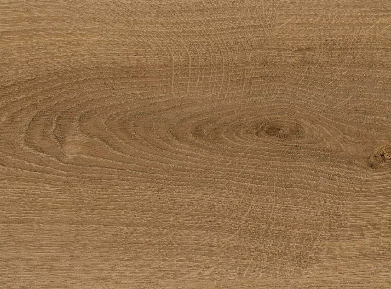 2 mm HARO DISANO Project - Eiche Sheffield natur_haro-2-mm-haro-disano-project---eiche-sheffield-natur-2x245x1300mm-blauer-engel-umlaufende-microfuge-silentsense-2333-nein-landhausdiele-wasserfest-25-jahre-im-wohnbereich-02