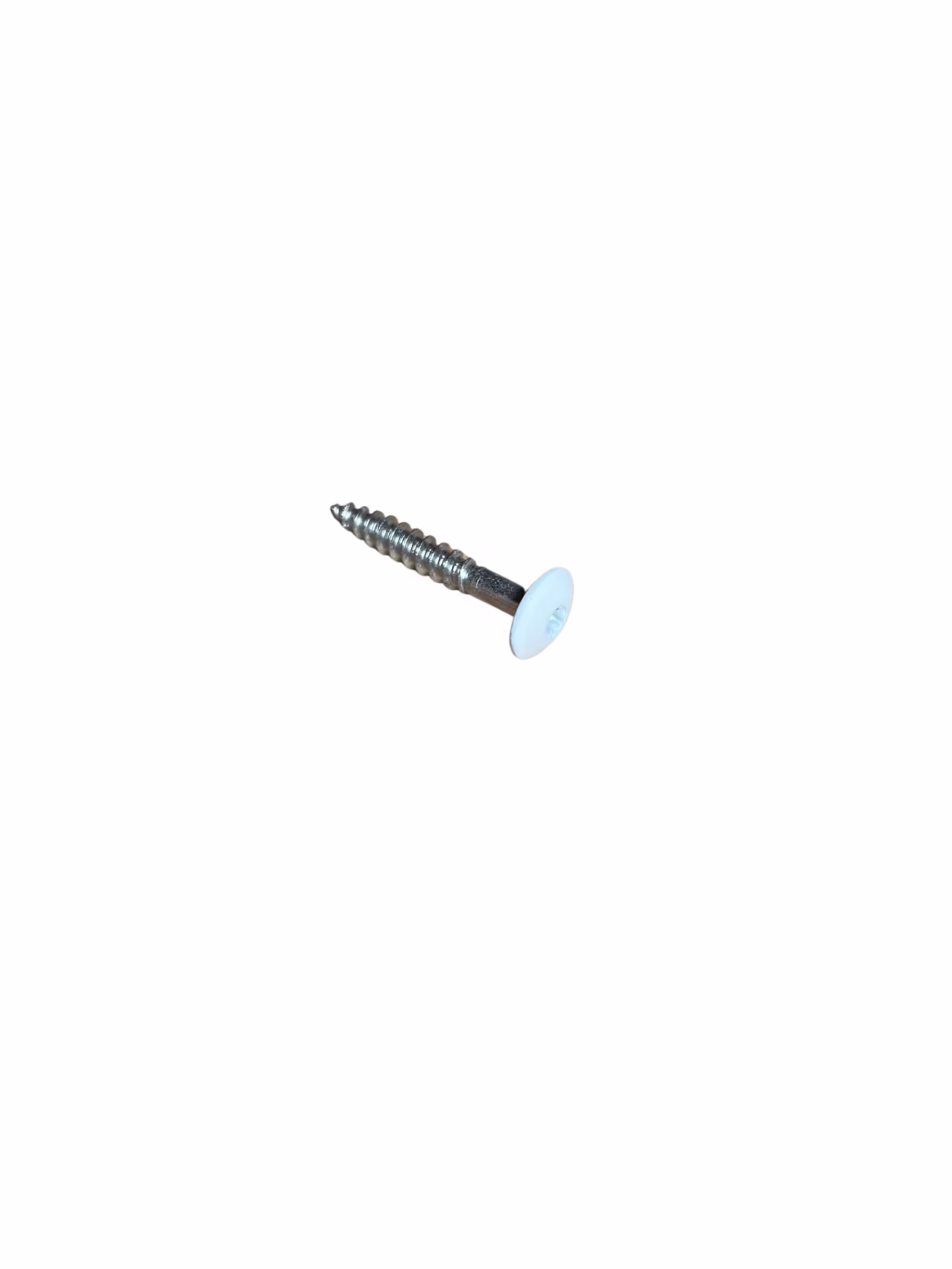 5,5 x 35 mm Schrauben V4A, kopflackiert - RAL 7035 lichtgrau_re-schraub-55-x-35-mm-schrauben-v4a-kopflackiert---ral-7035-lichtgrau-0x0mm-01