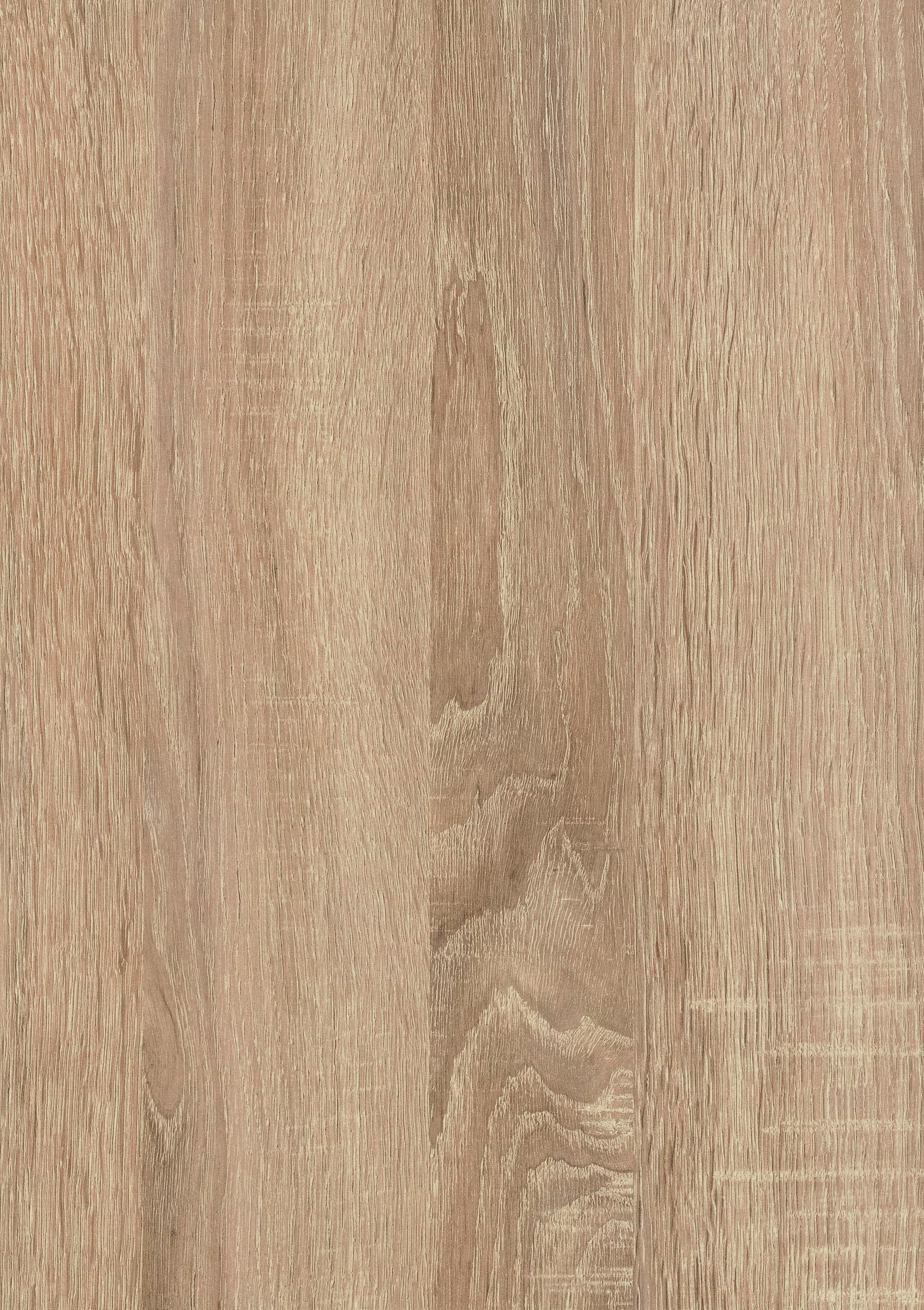 egger-0823-mm-egger-abs-kante-h1145-st10---bardolino-eiche-natur-08x23x75000mm-holz-02 0,8/23 mm Egger ABS-Kante H1145 ST10 - Bardolino Eiche natur_egger-0823-mm-egger-abs-kante-h1145-st10---bardolino-eiche-natur-08x23x75000mm-holz-02